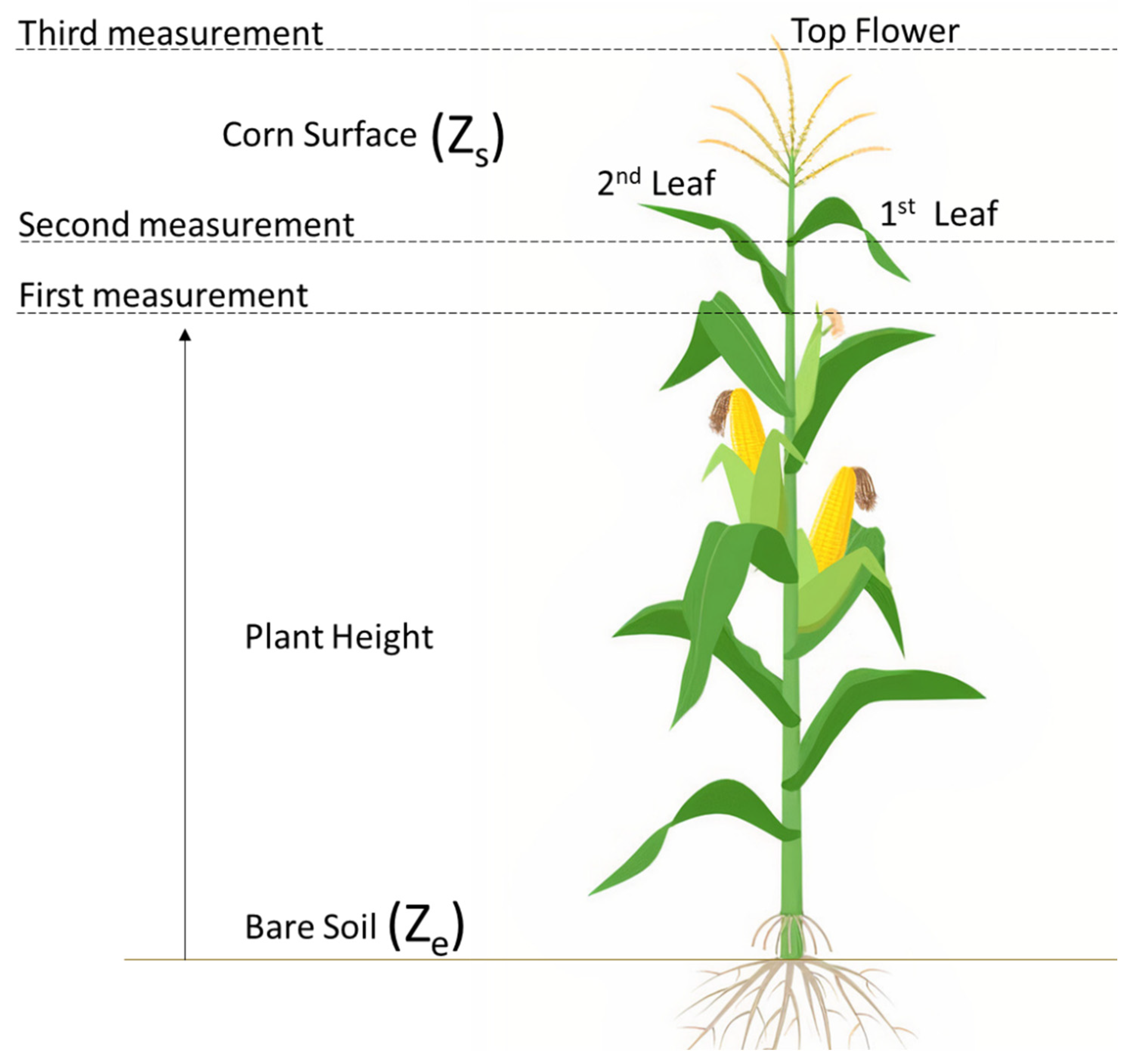 Agriengineering 07 00112 g006