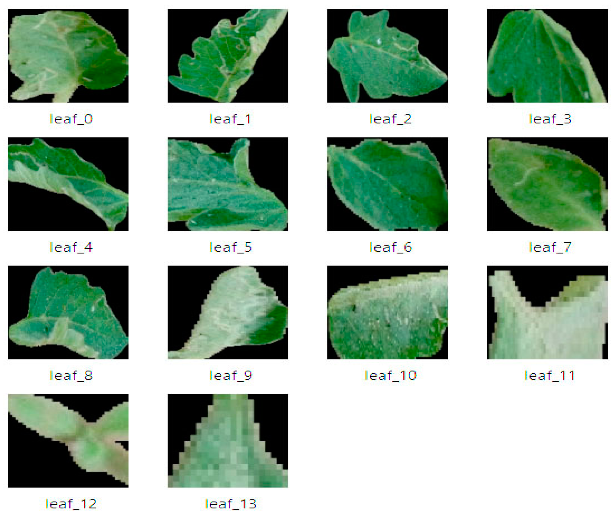 Agriengineering 07 00120 g007