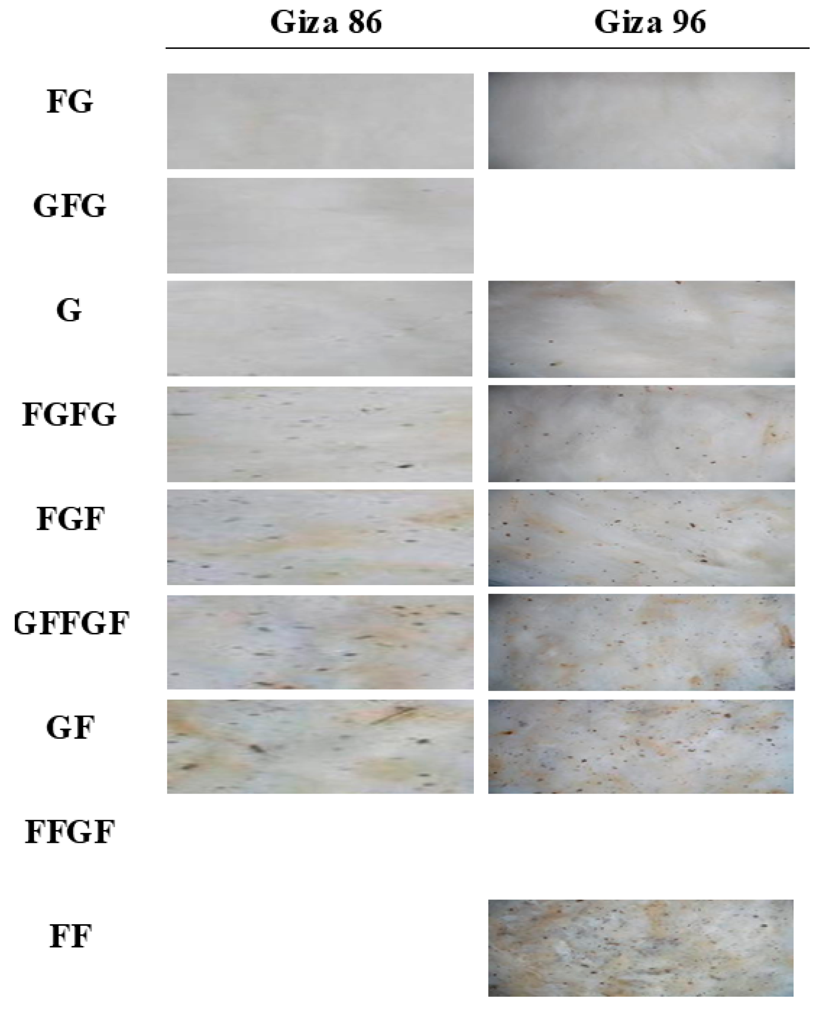 Agriengineering 07 00127 g001