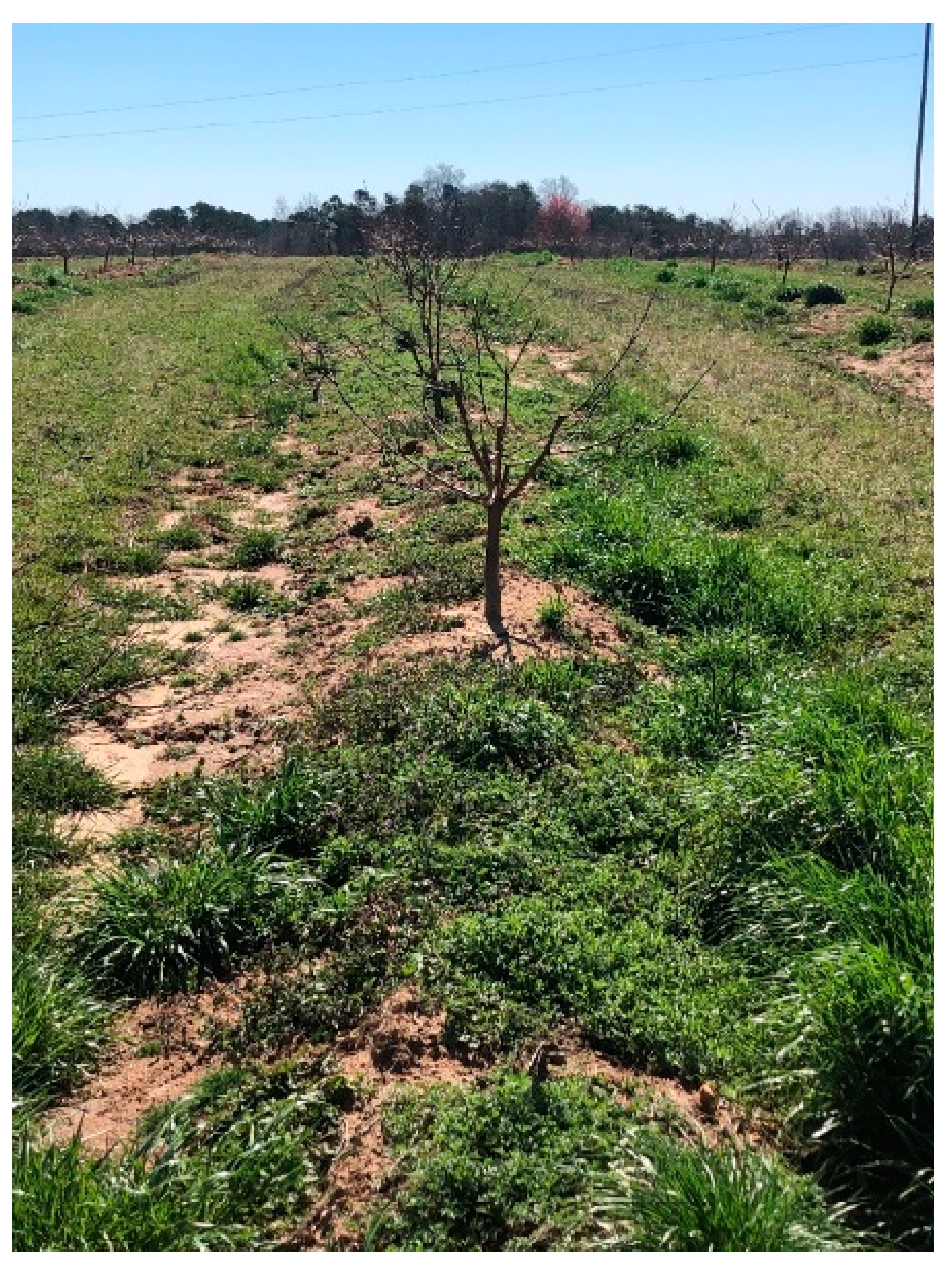 Agriengineering 07 00144 g007