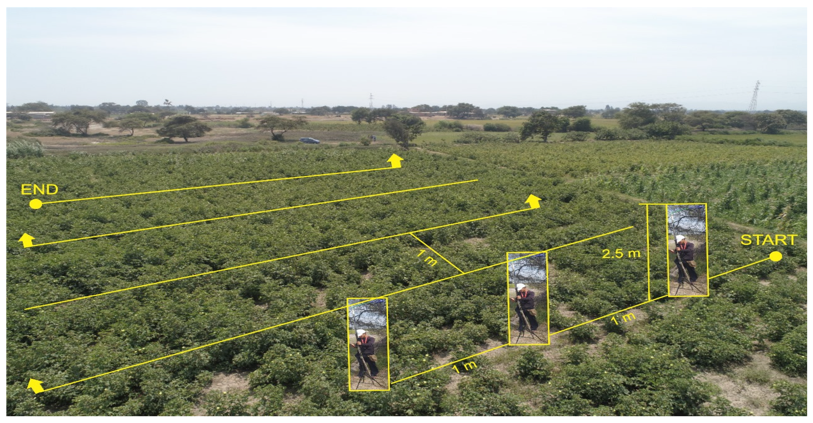 Agriengineering 07 00152 g003