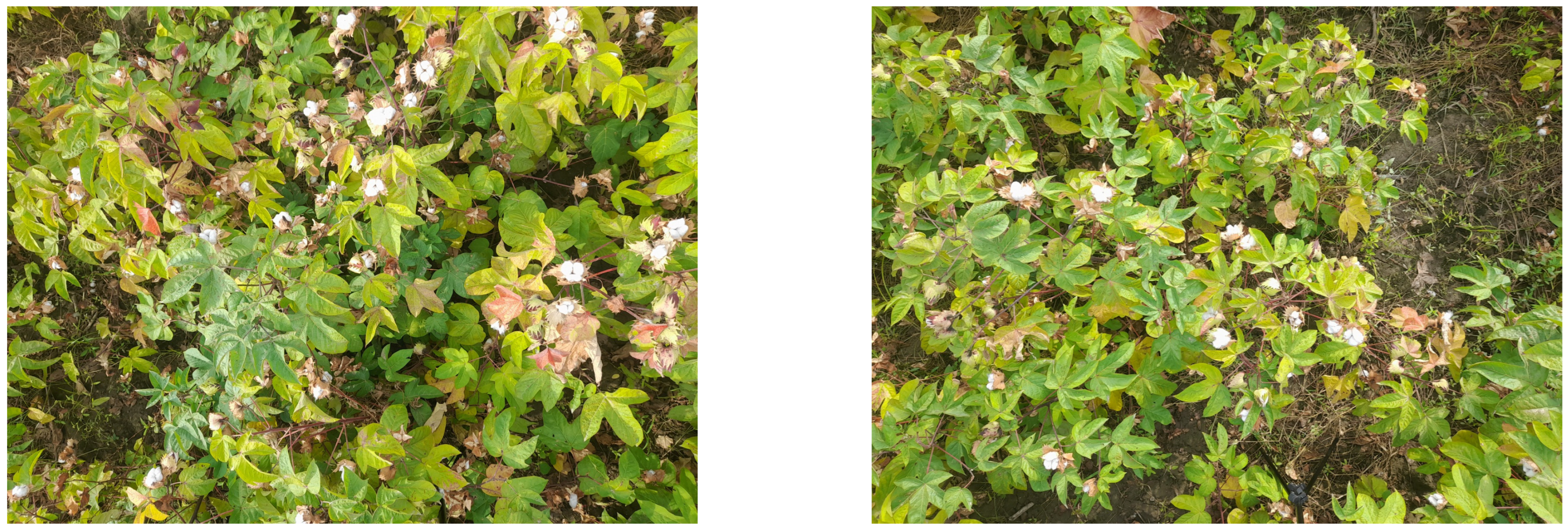 Agriengineering 07 00152 g004