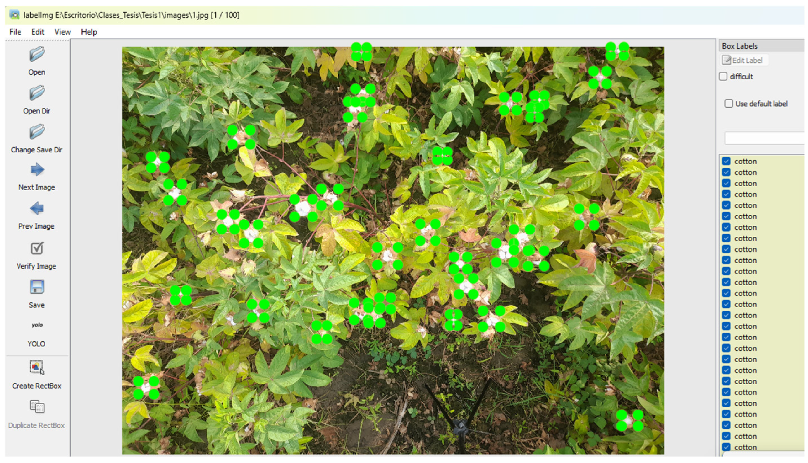 Agriengineering 07 00152 g005