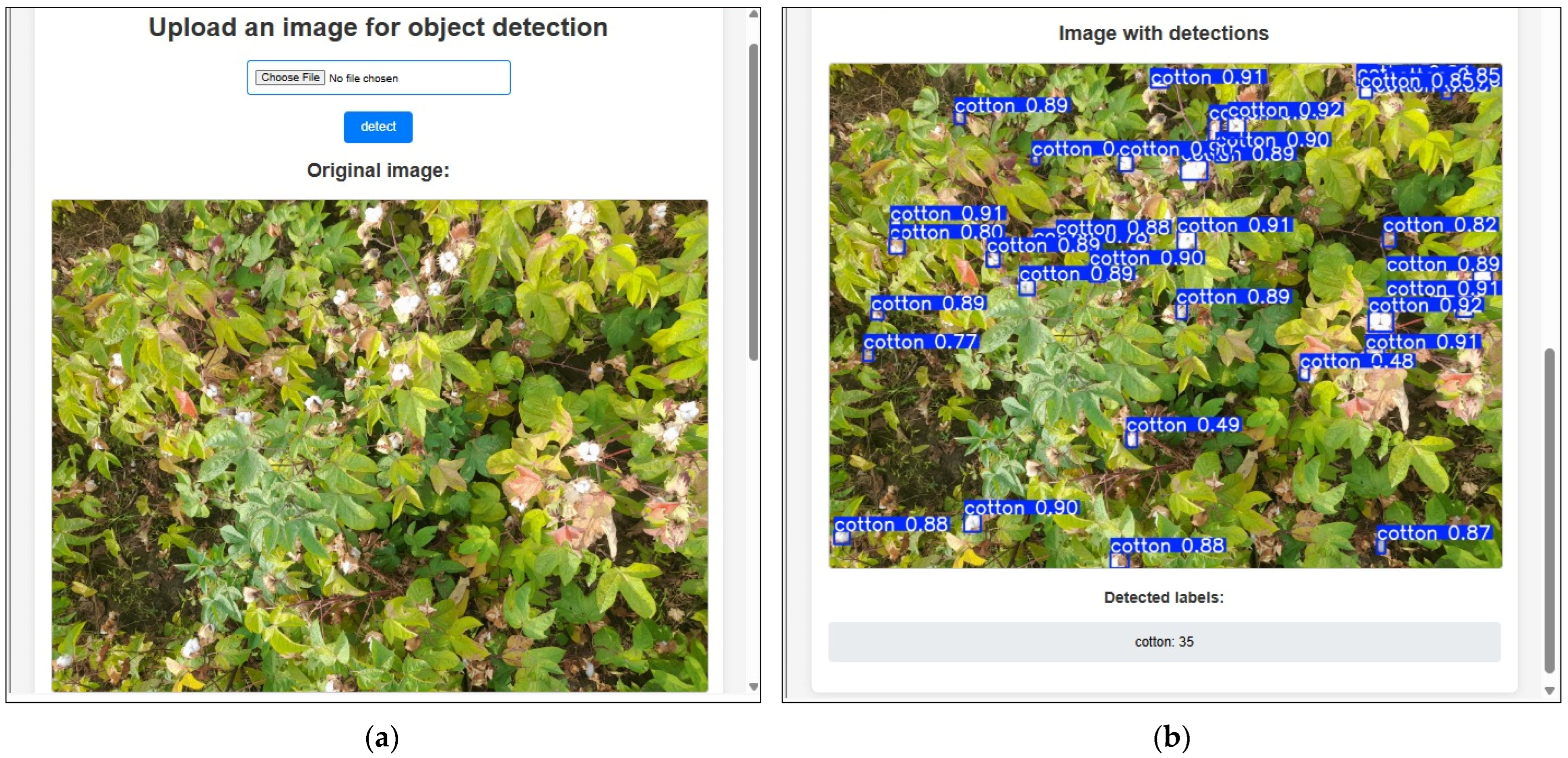Agriengineering 07 00152 g010
