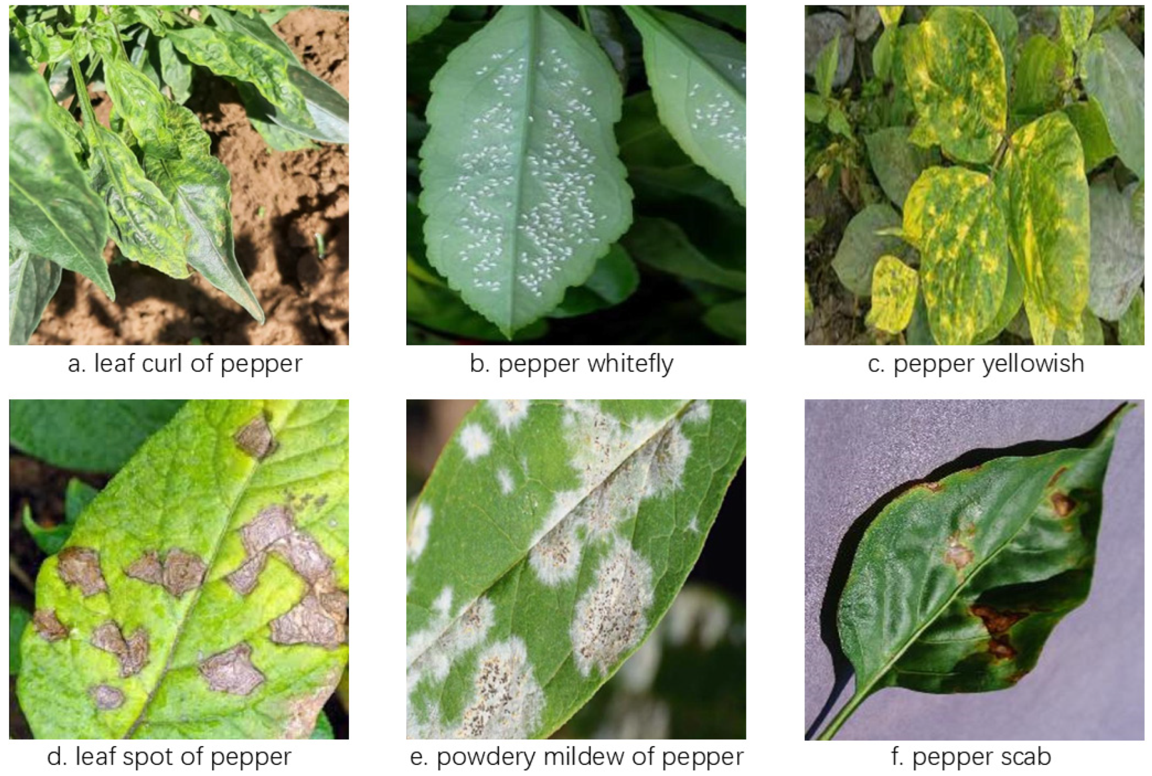 Agriengineering 07 00153 g001