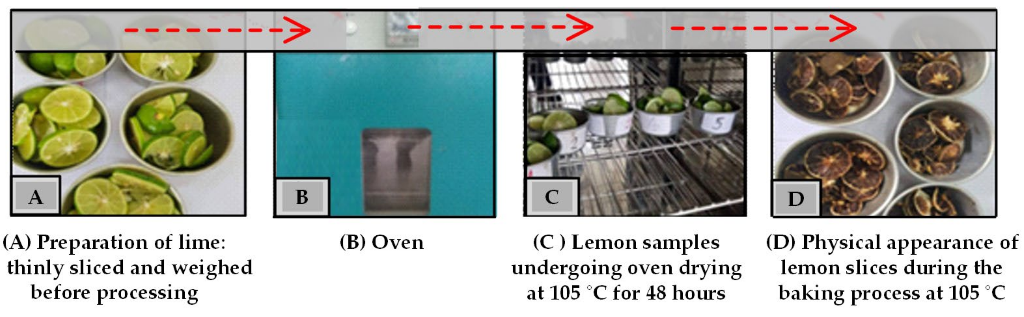 Agriengineering 07 00175 g006