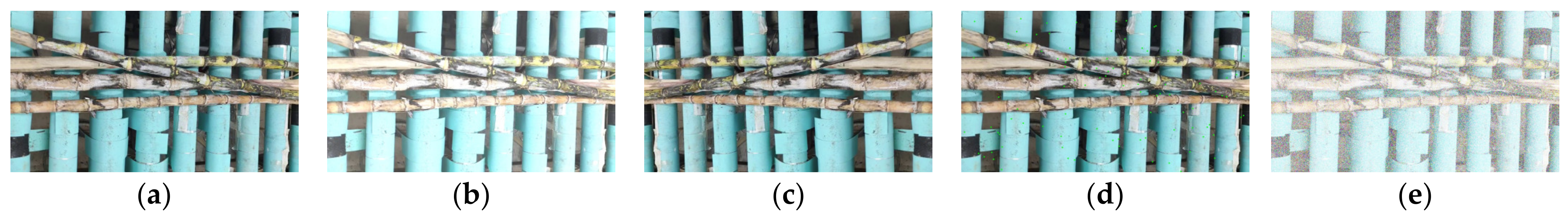 Agriengineering 07 00191 g006