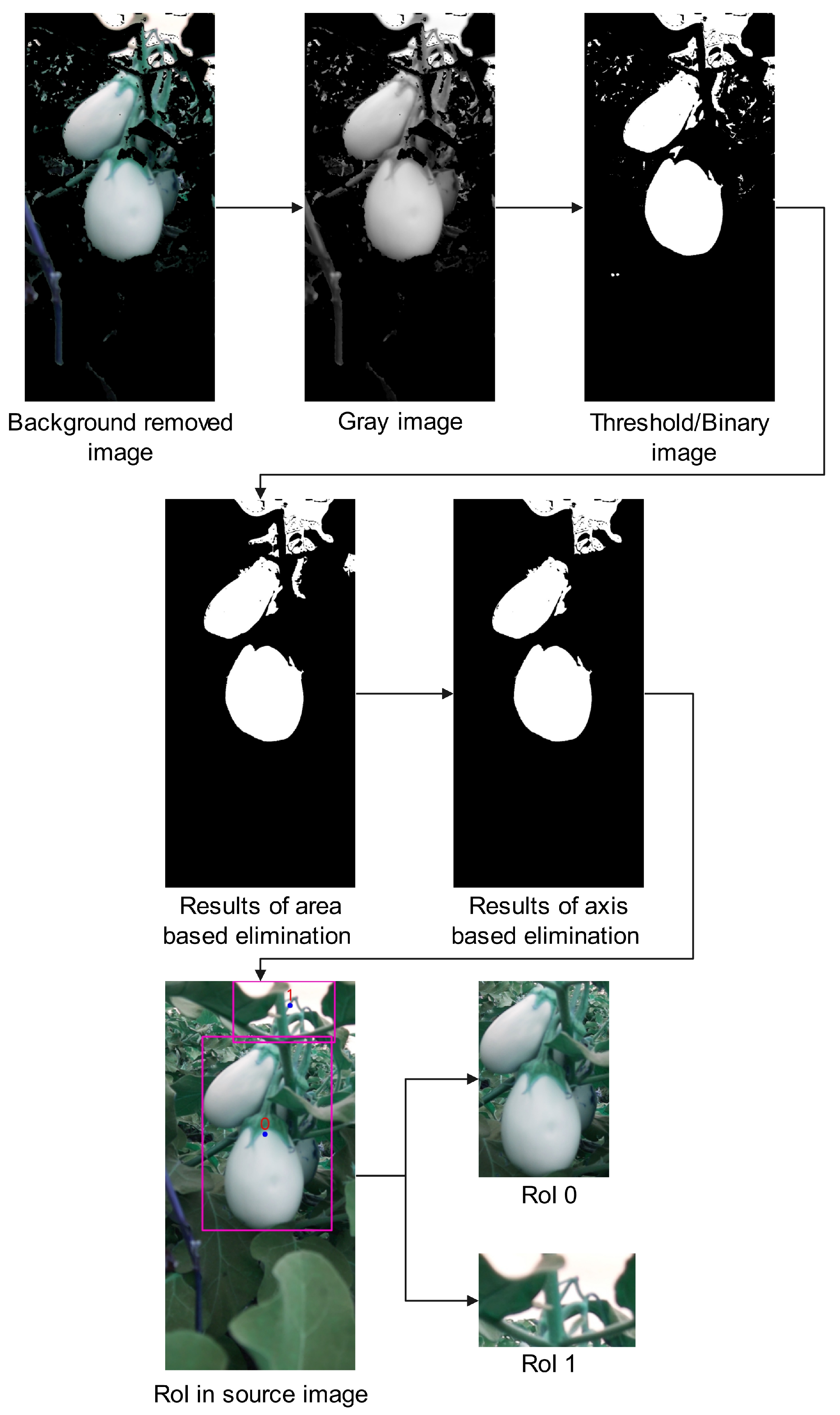 Agriengineering 07 00196 g005