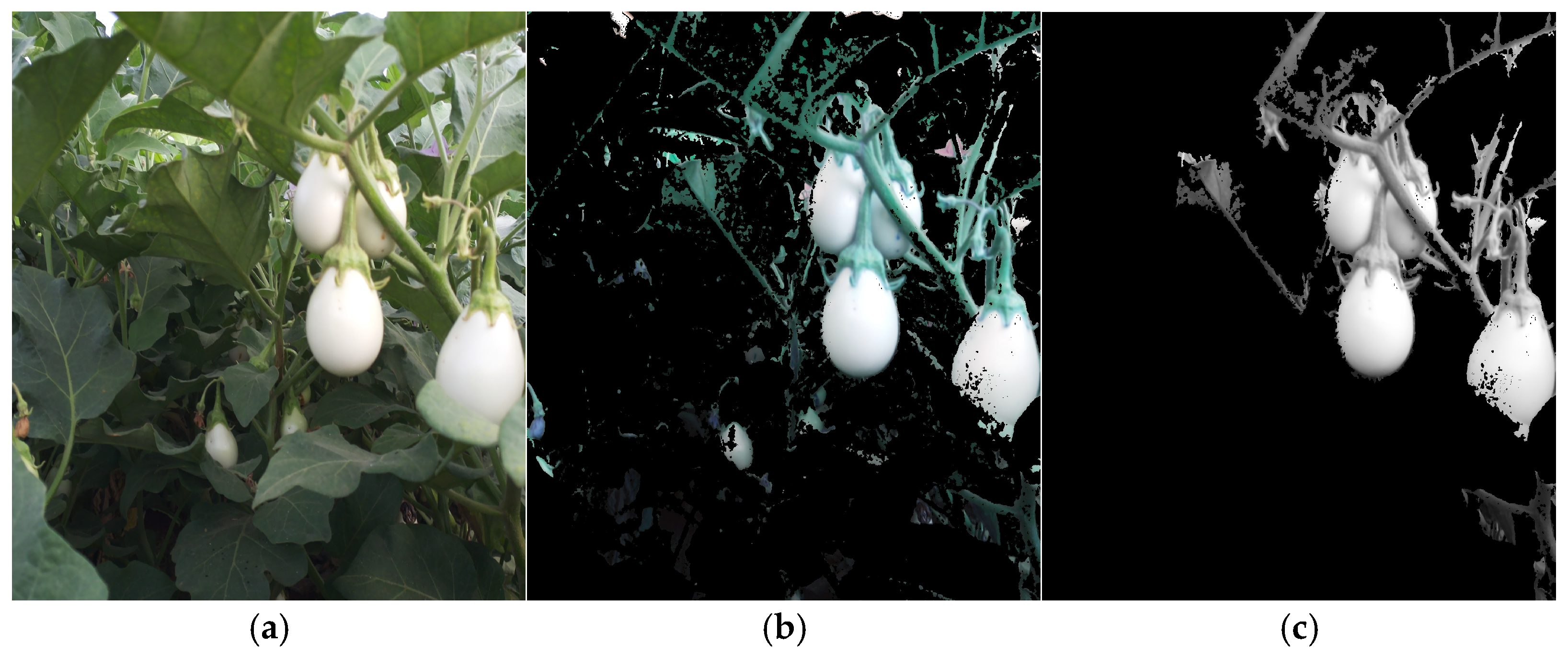 Agriengineering 07 00196 g008