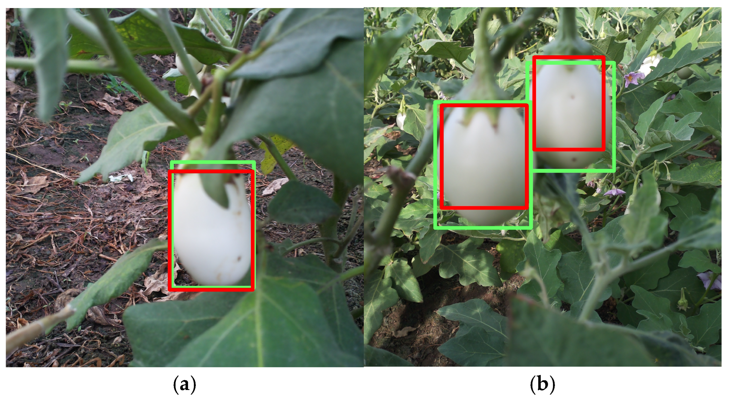 Agriengineering 07 00196 g009