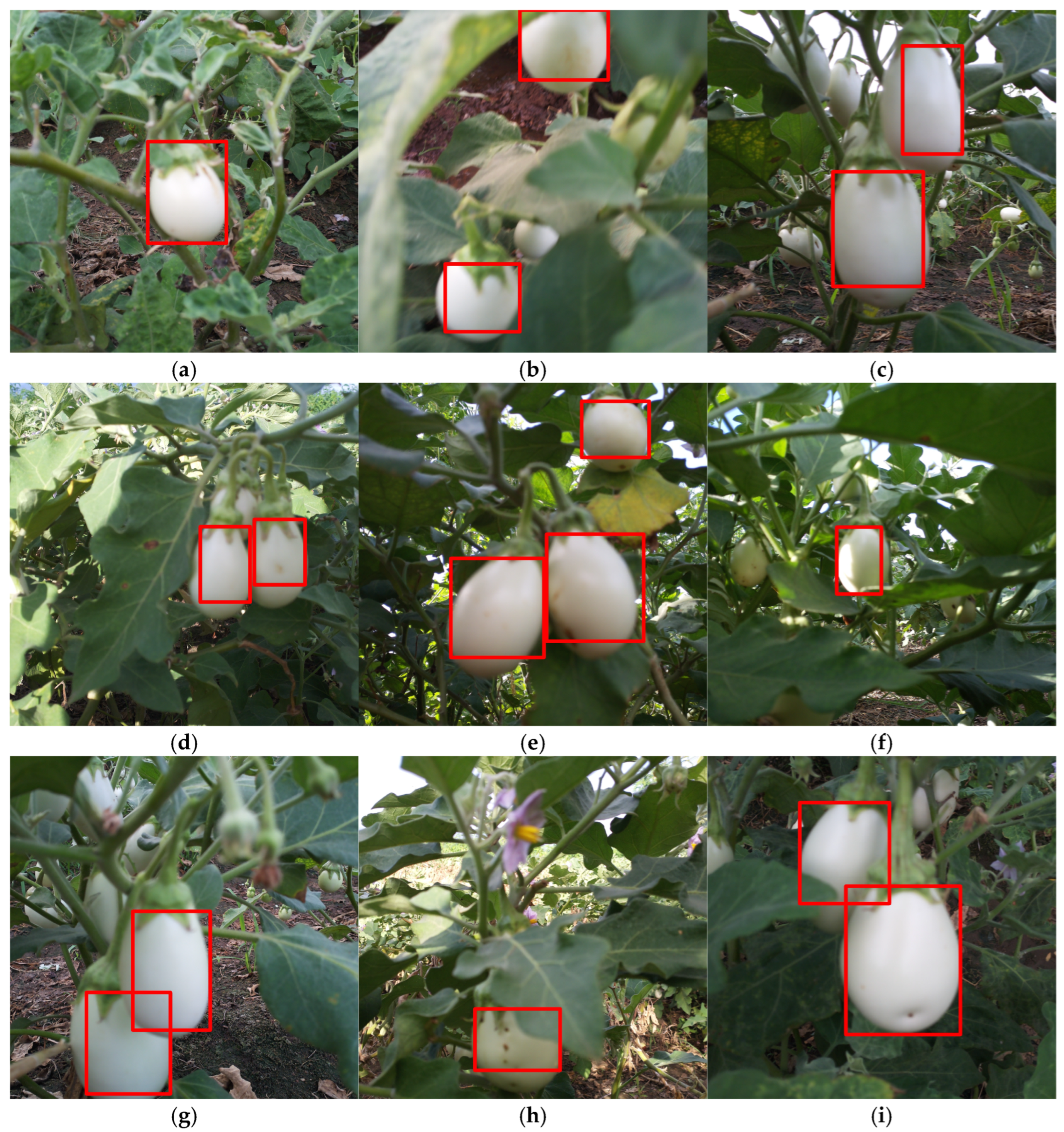 Agriengineering 07 00196 g011