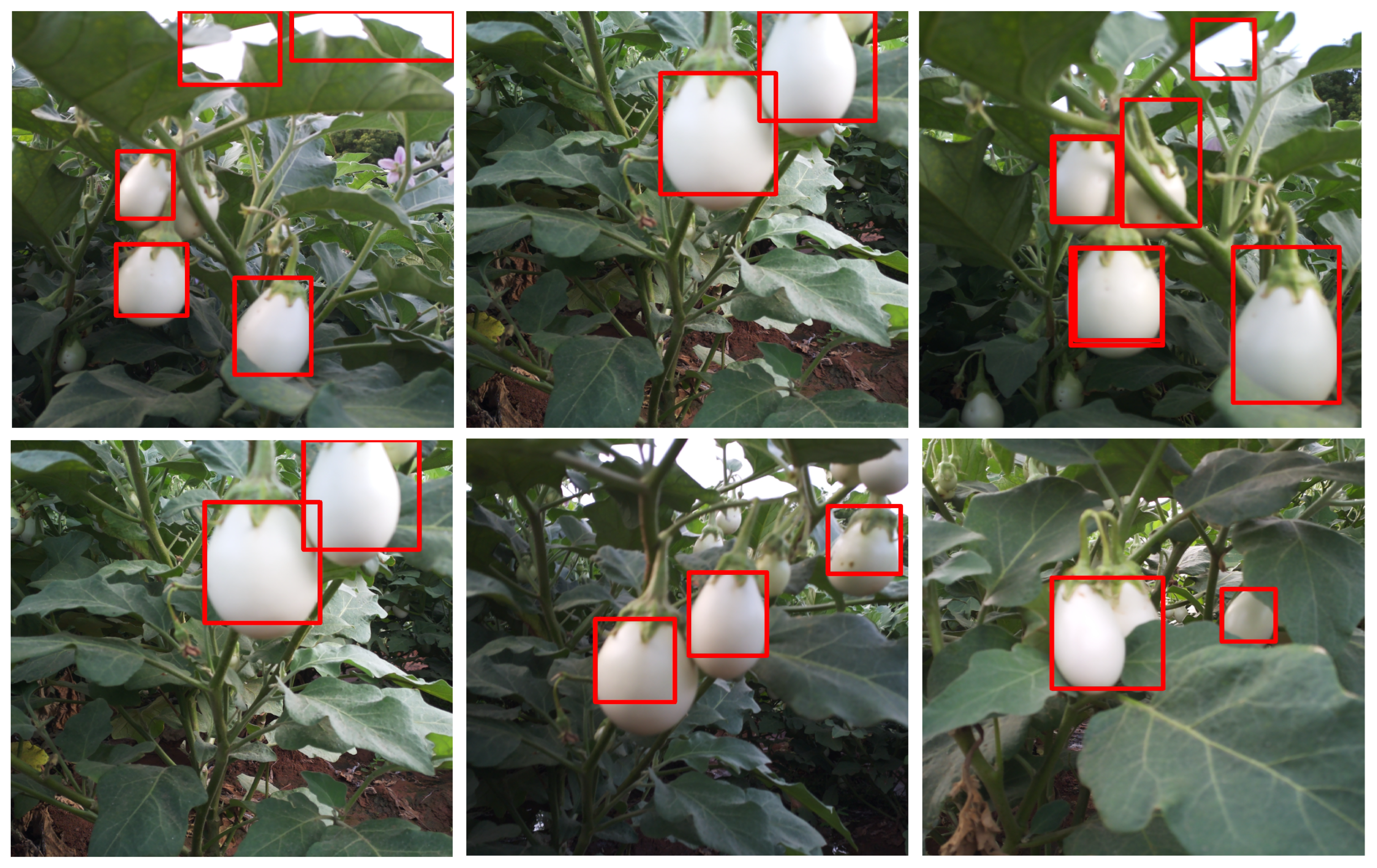 Agriengineering 07 00196 g012