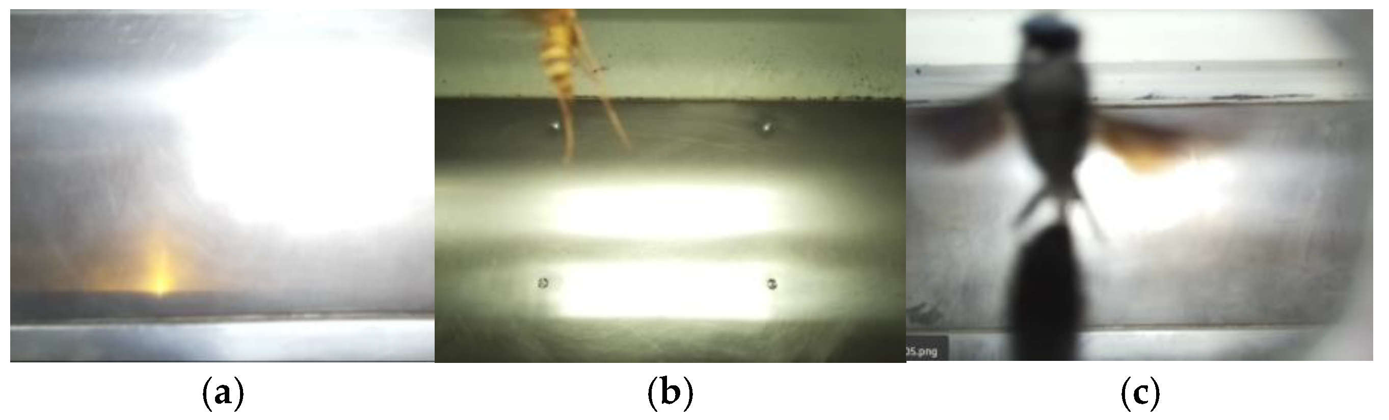 Agriengineering 07 00225 g006