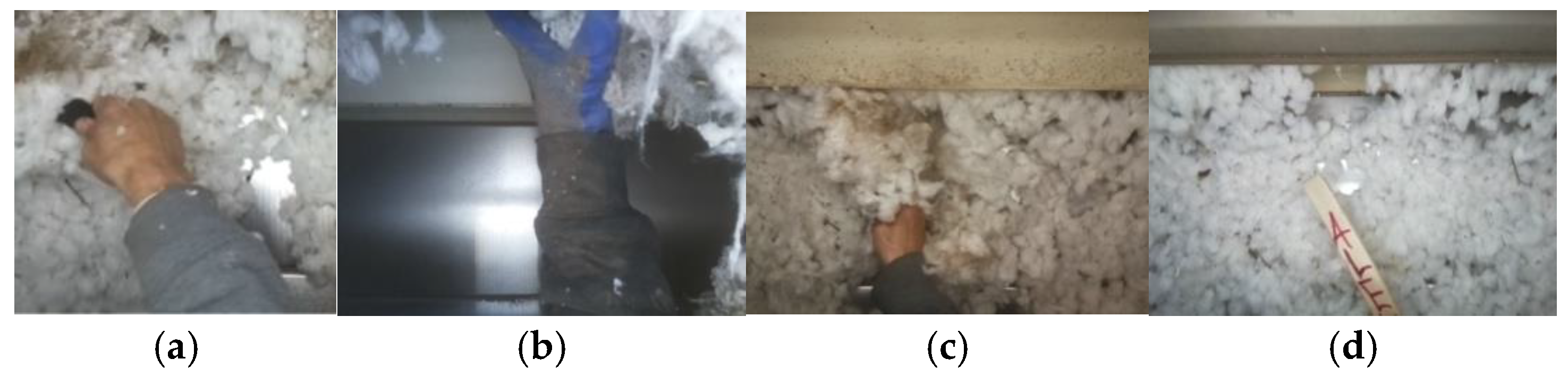 Agriengineering 07 00225 g007