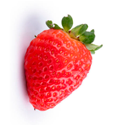 Agriengineering 07 00246 i001