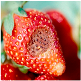 Agriengineering 07 00246 i008