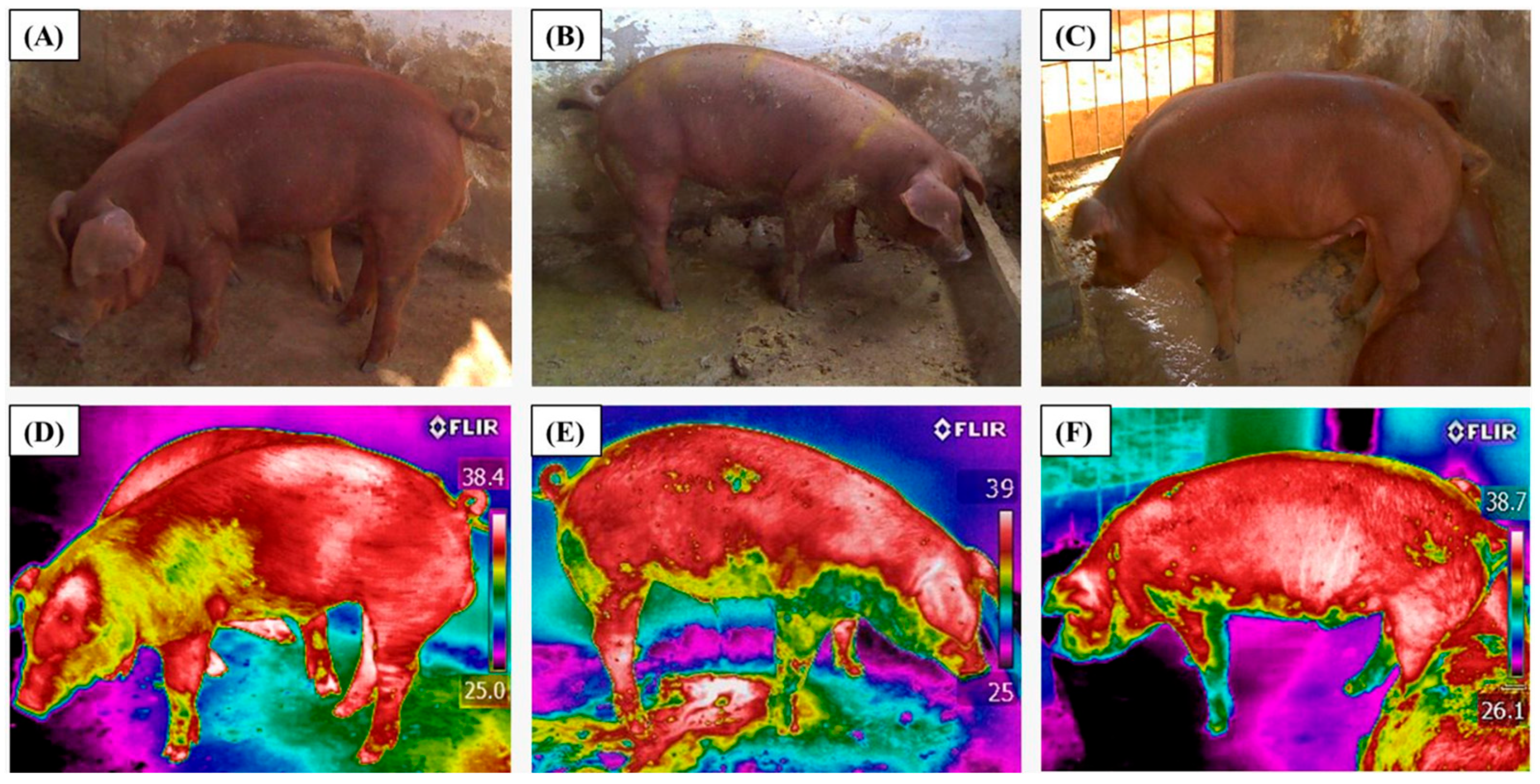 Agriengineering 07 00266 g002