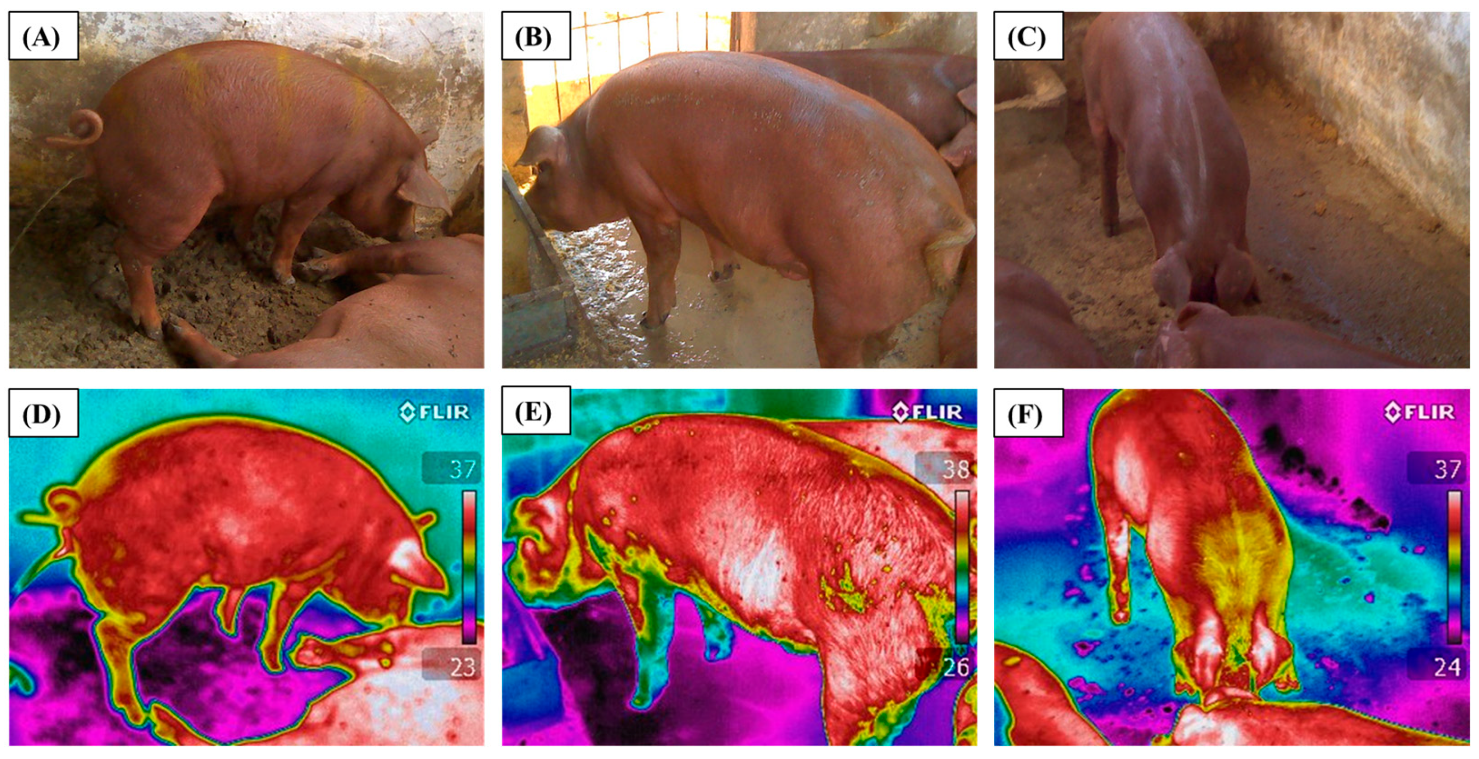 Agriengineering 07 00266 g003