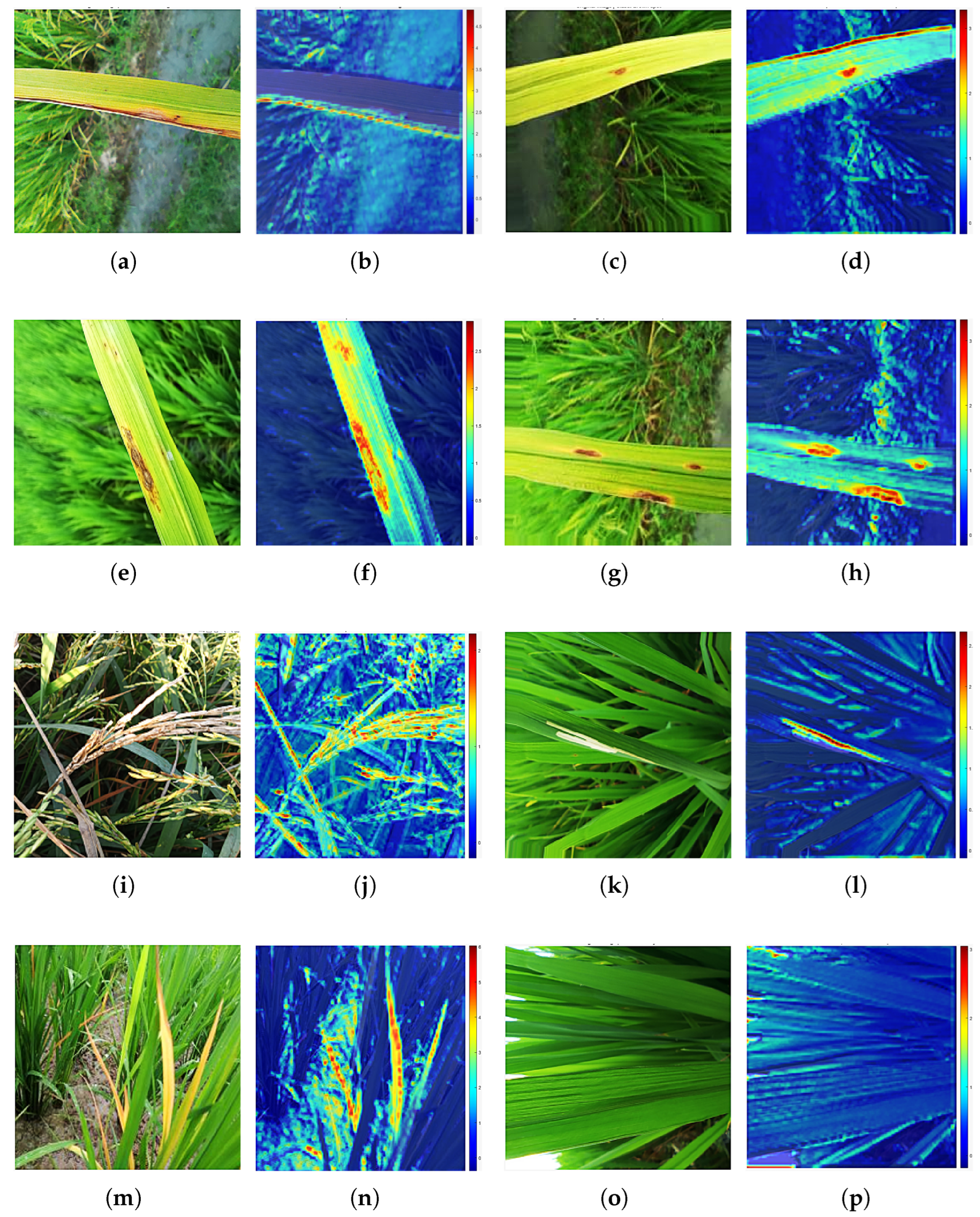 Agriengineering 07 00268 g008
