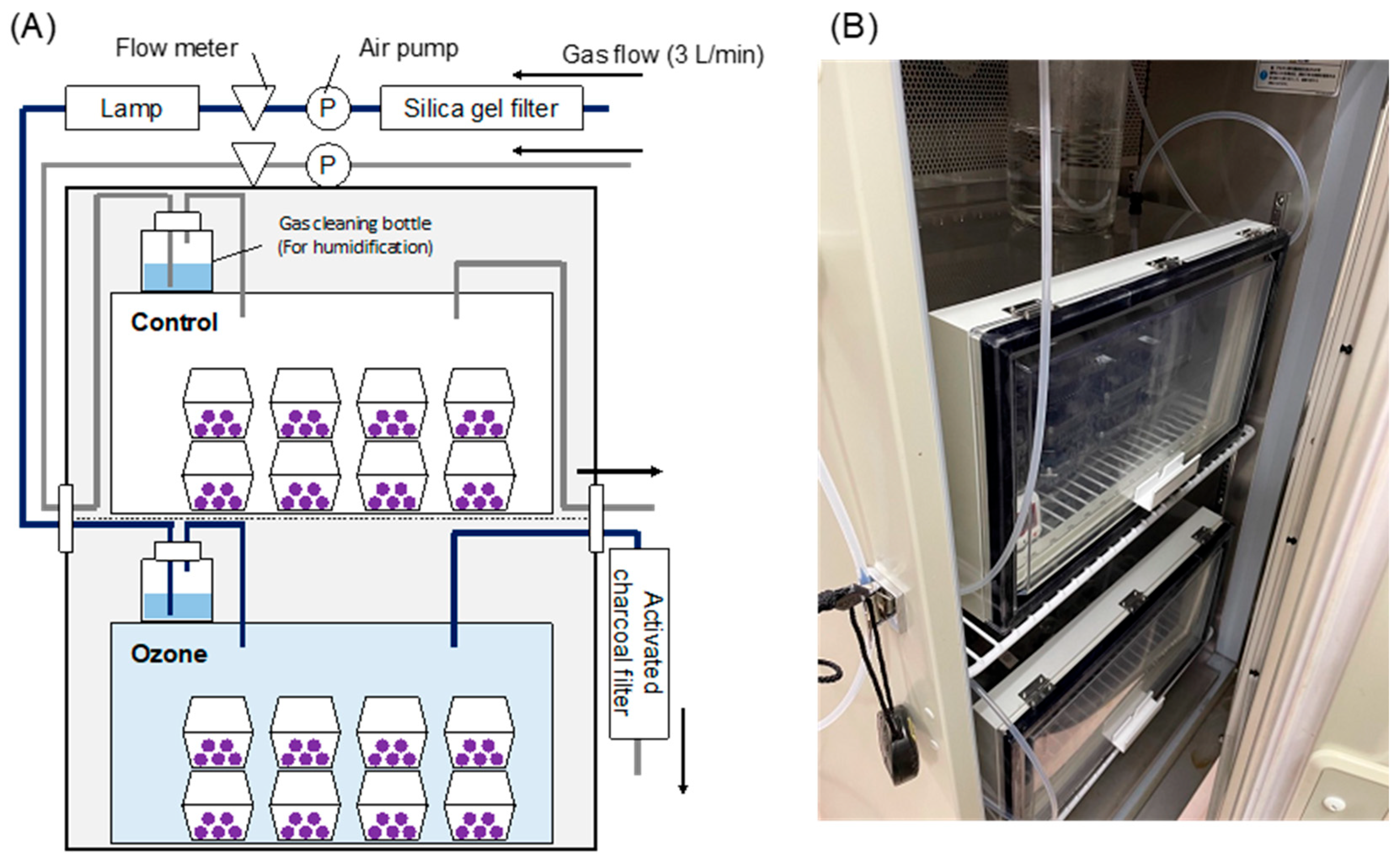 Agriengineering 07 00269 g002