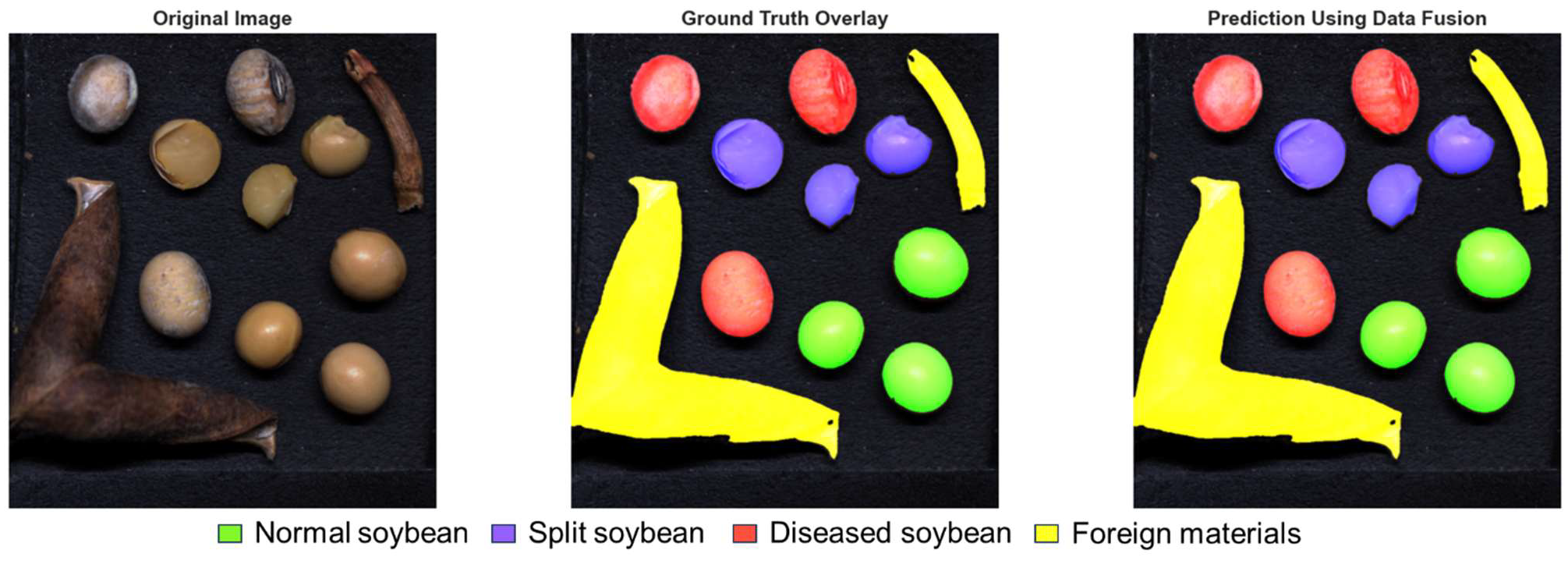 Agriengineering 07 00274 g012