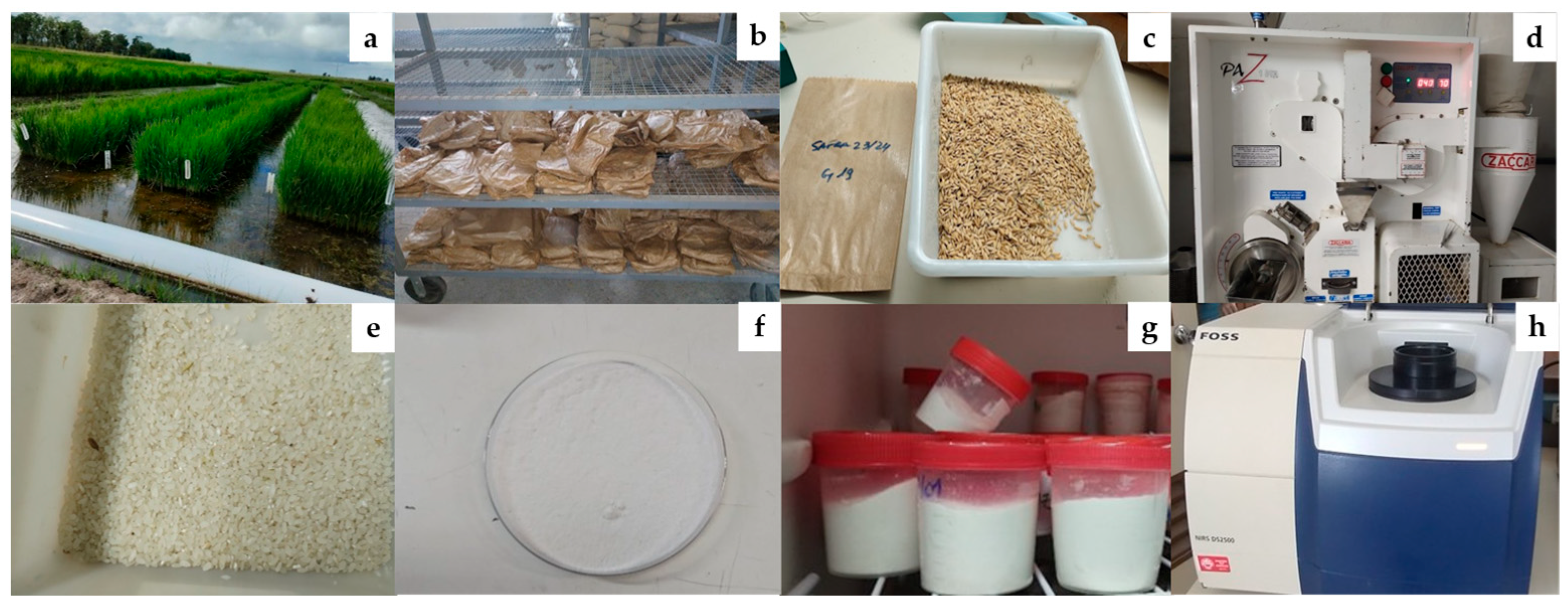 Agriengineering 07 00305 g001
