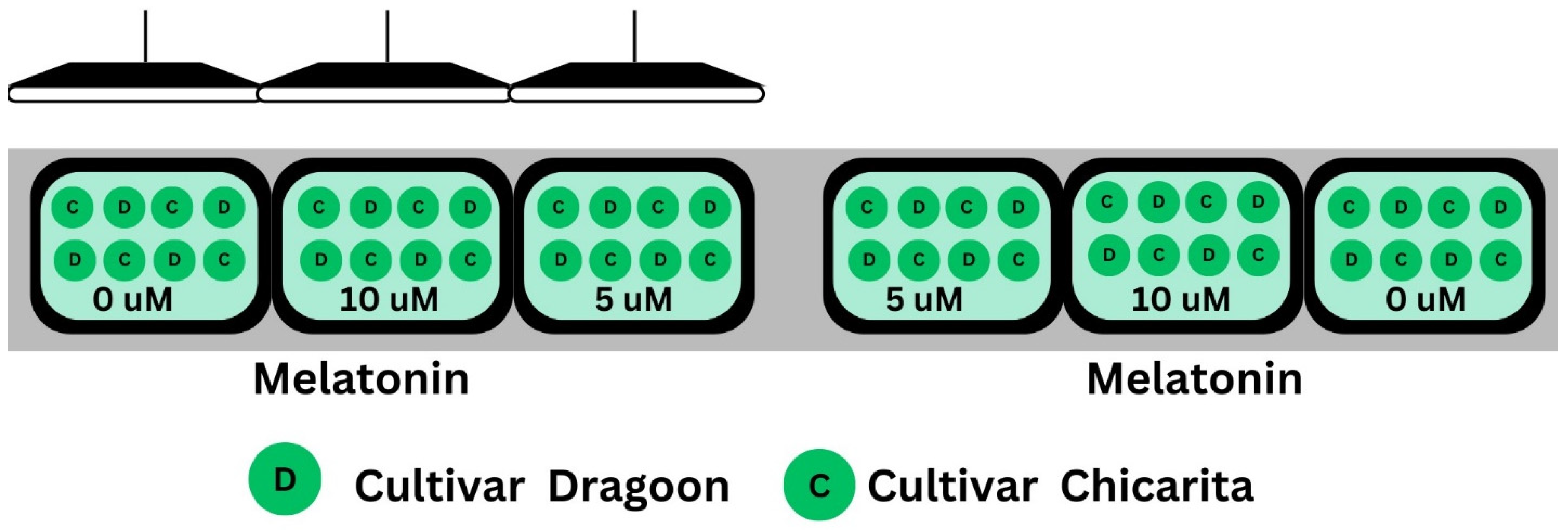 Agriengineering 07 00328 g002