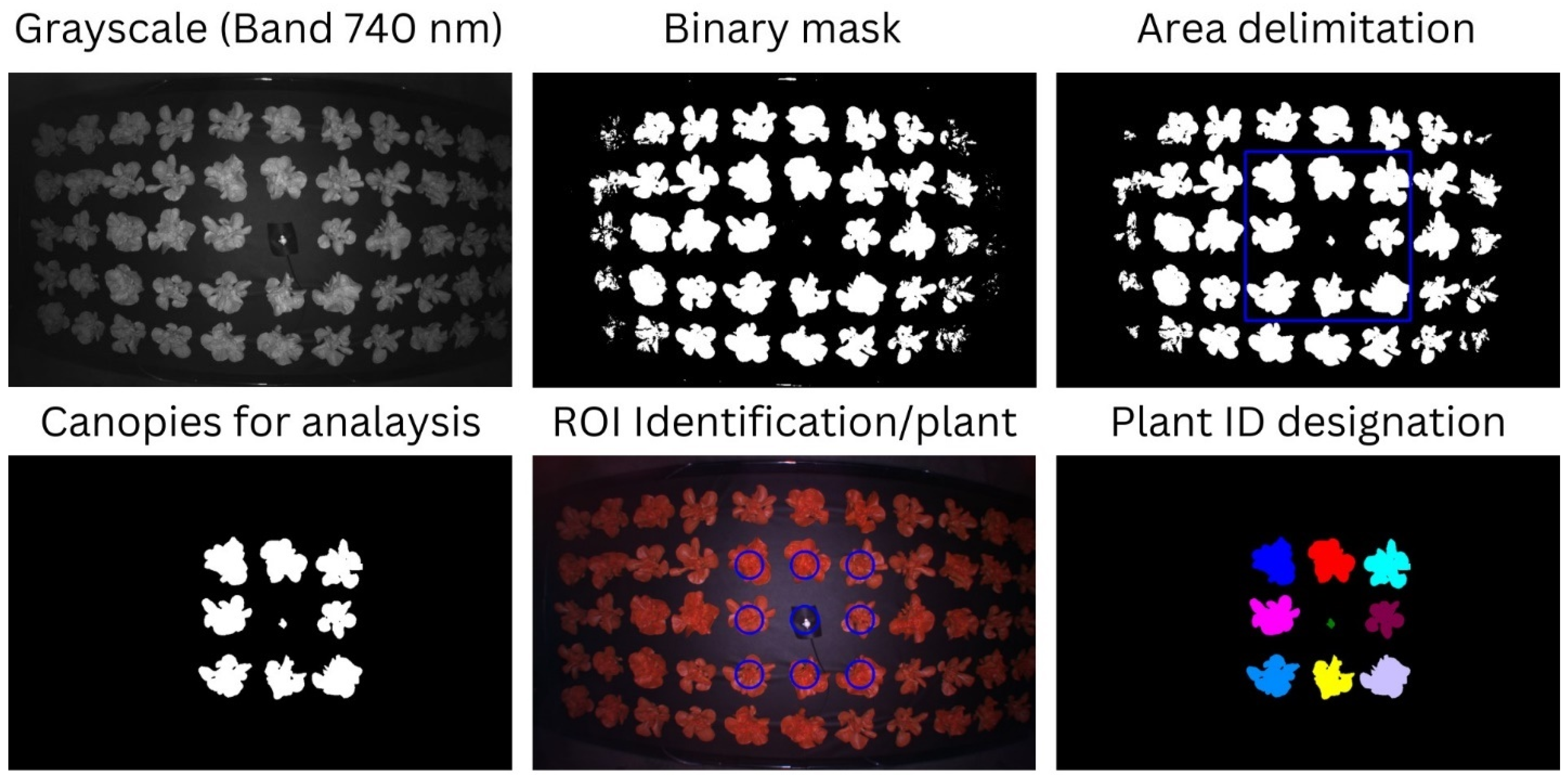 Agriengineering 07 00328 g004