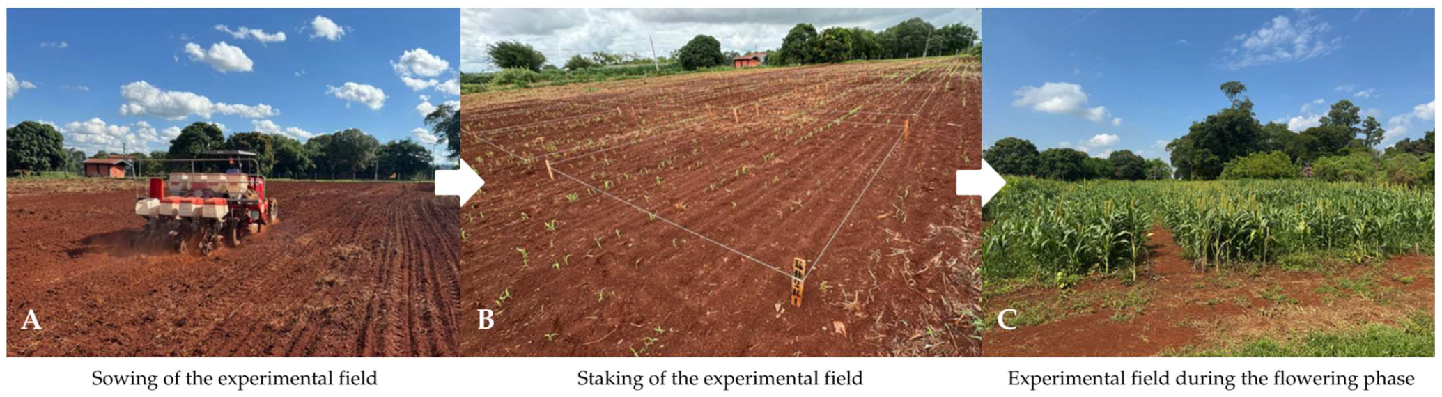 Agriengineering 07 00367 g001 Agriengineering 07 00367 g001