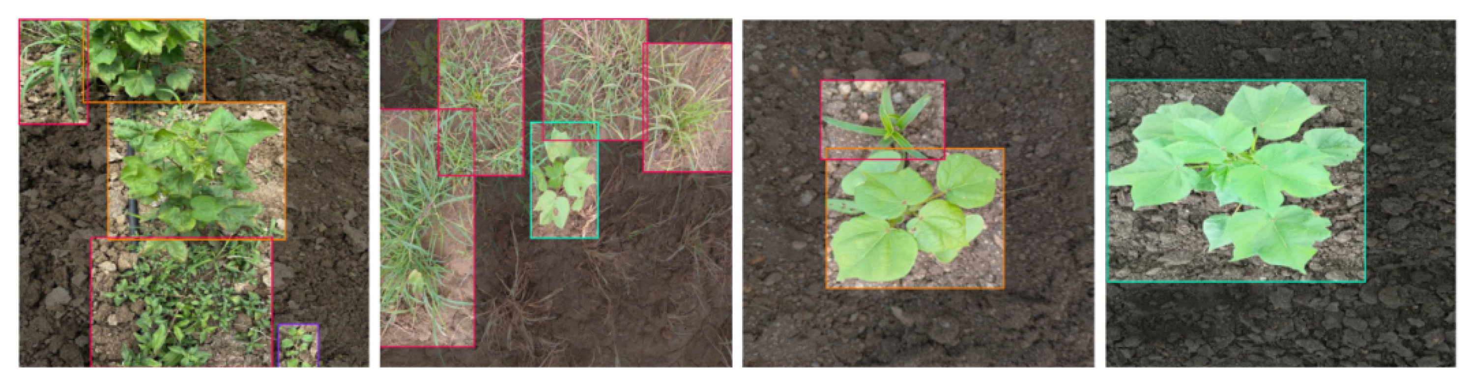 Agriengineering 07 00375 g002