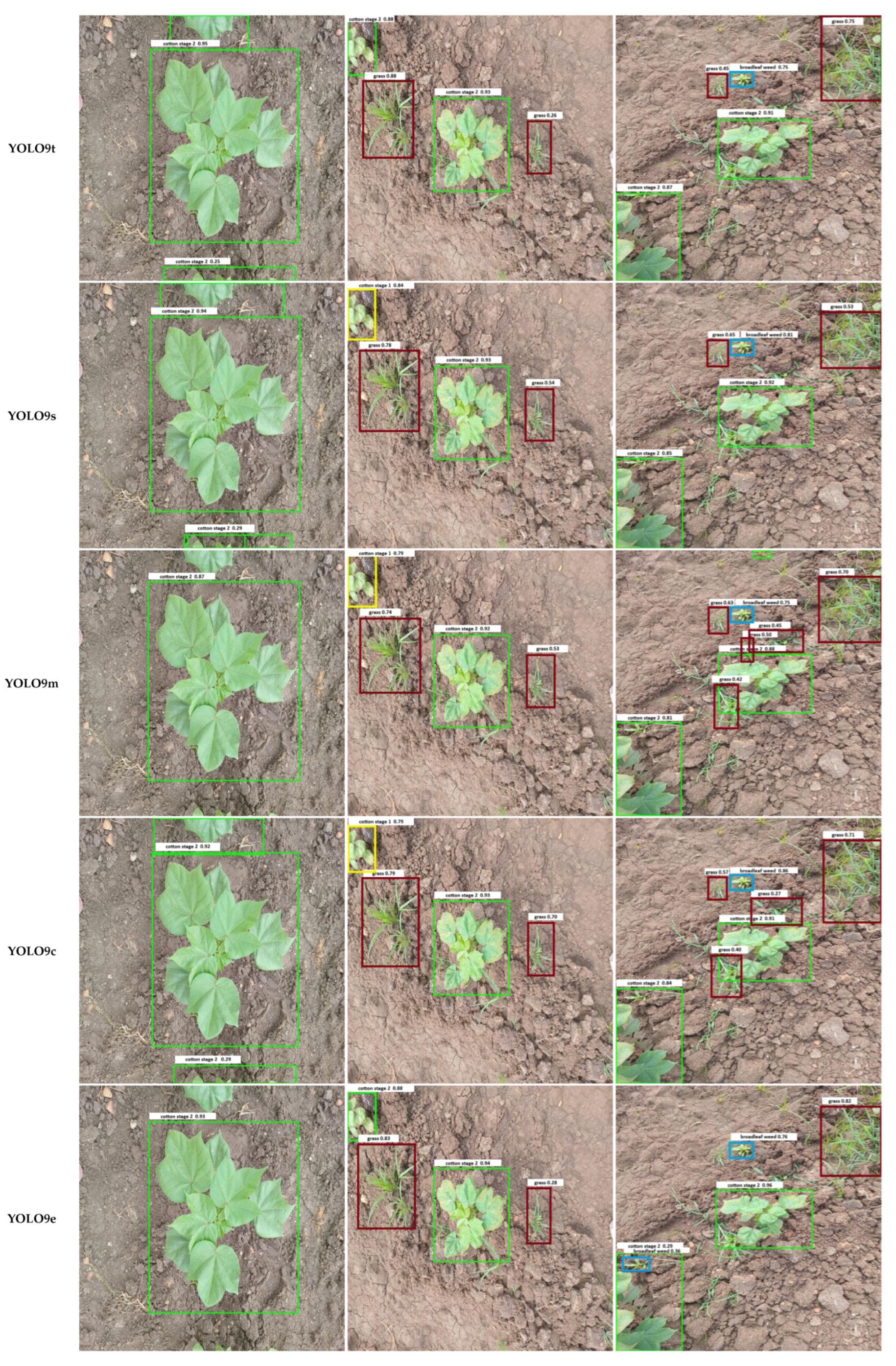 Agriengineering 07 00375 g007b
