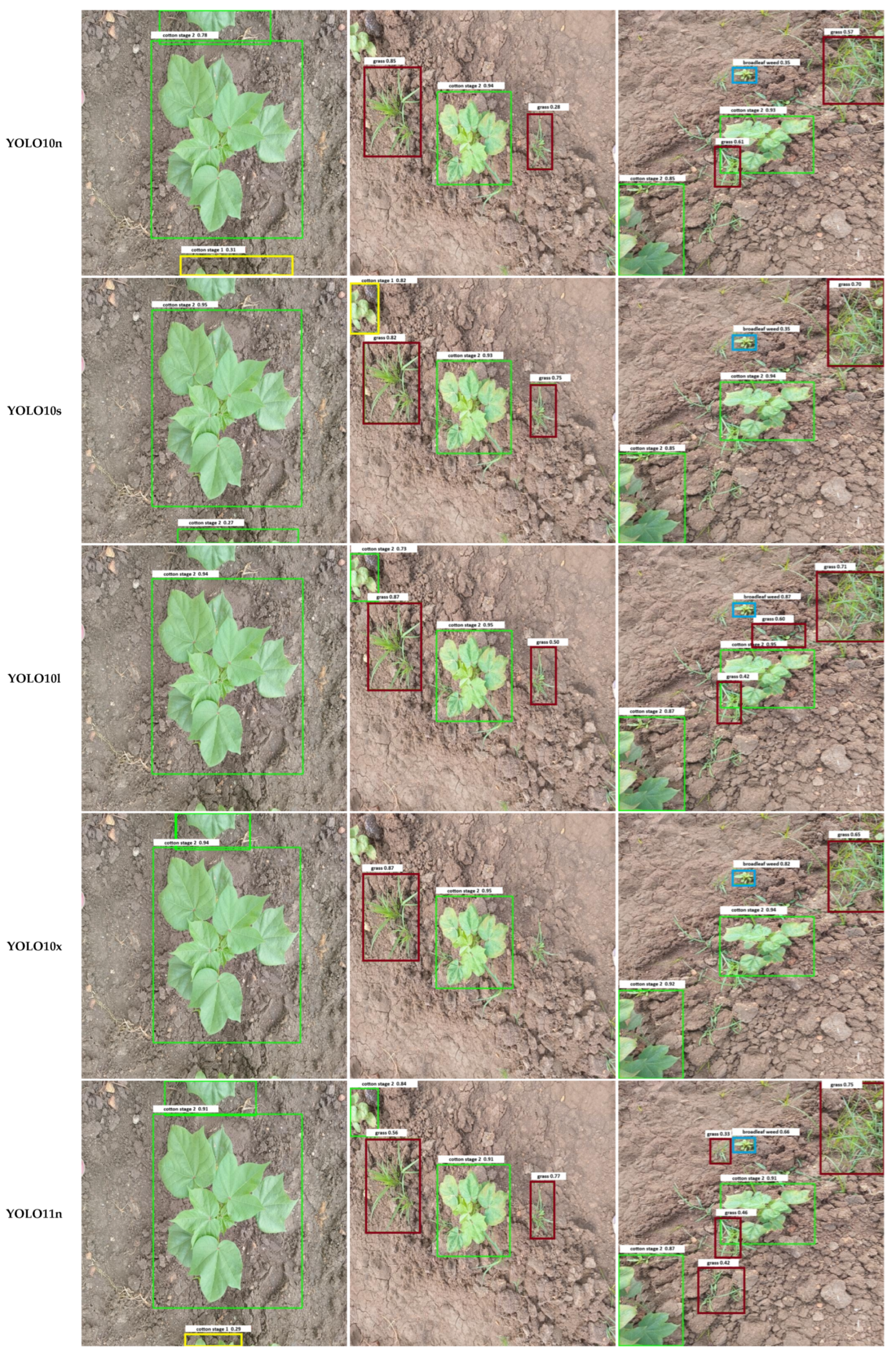 Agriengineering 07 00375 g007c