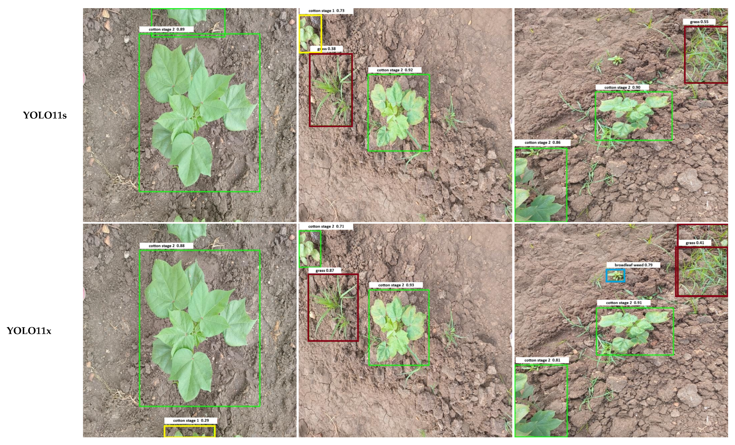 Agriengineering 07 00375 g007d