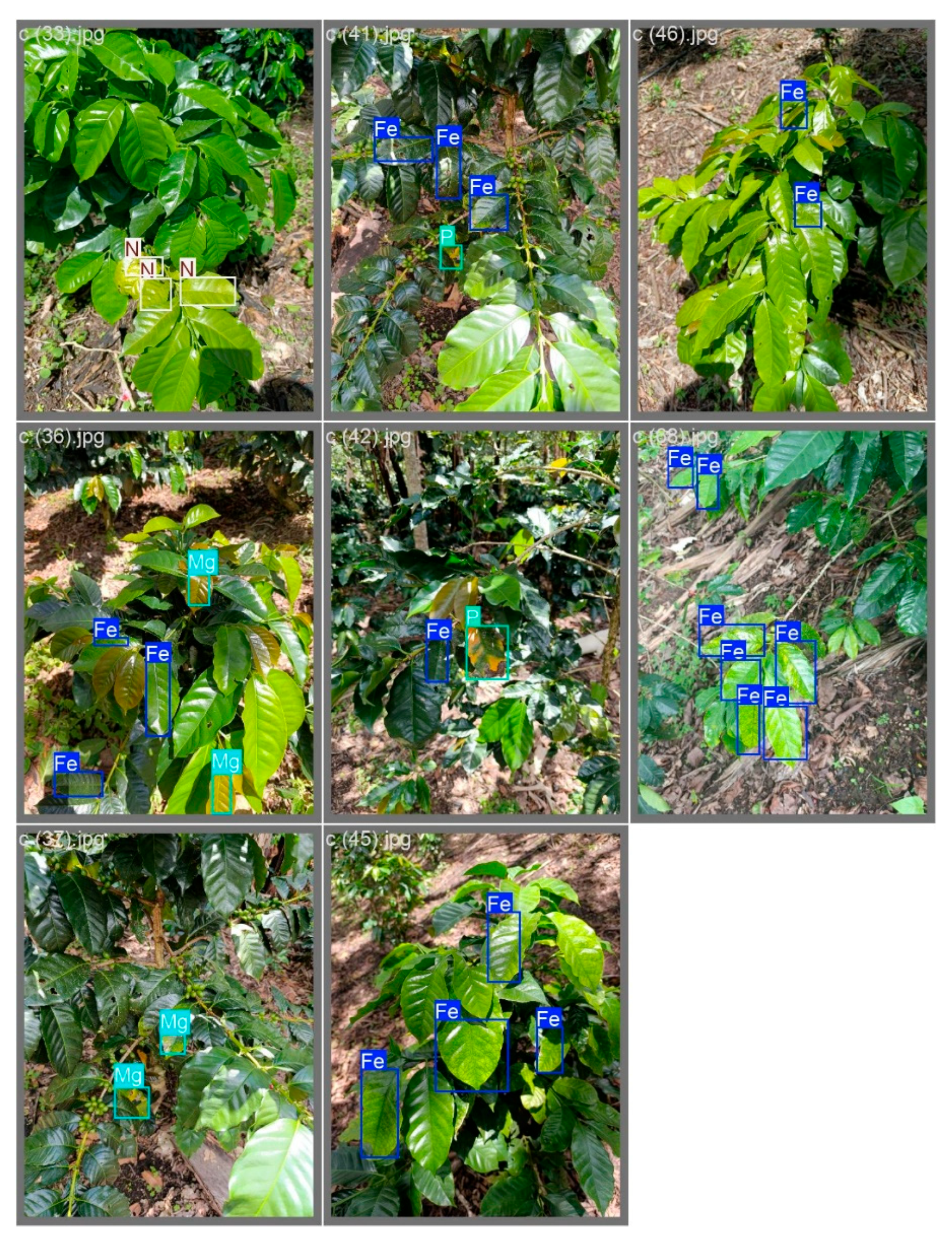 Agriengineering 07 00421 g007 Agriengineering 07 00421 g007