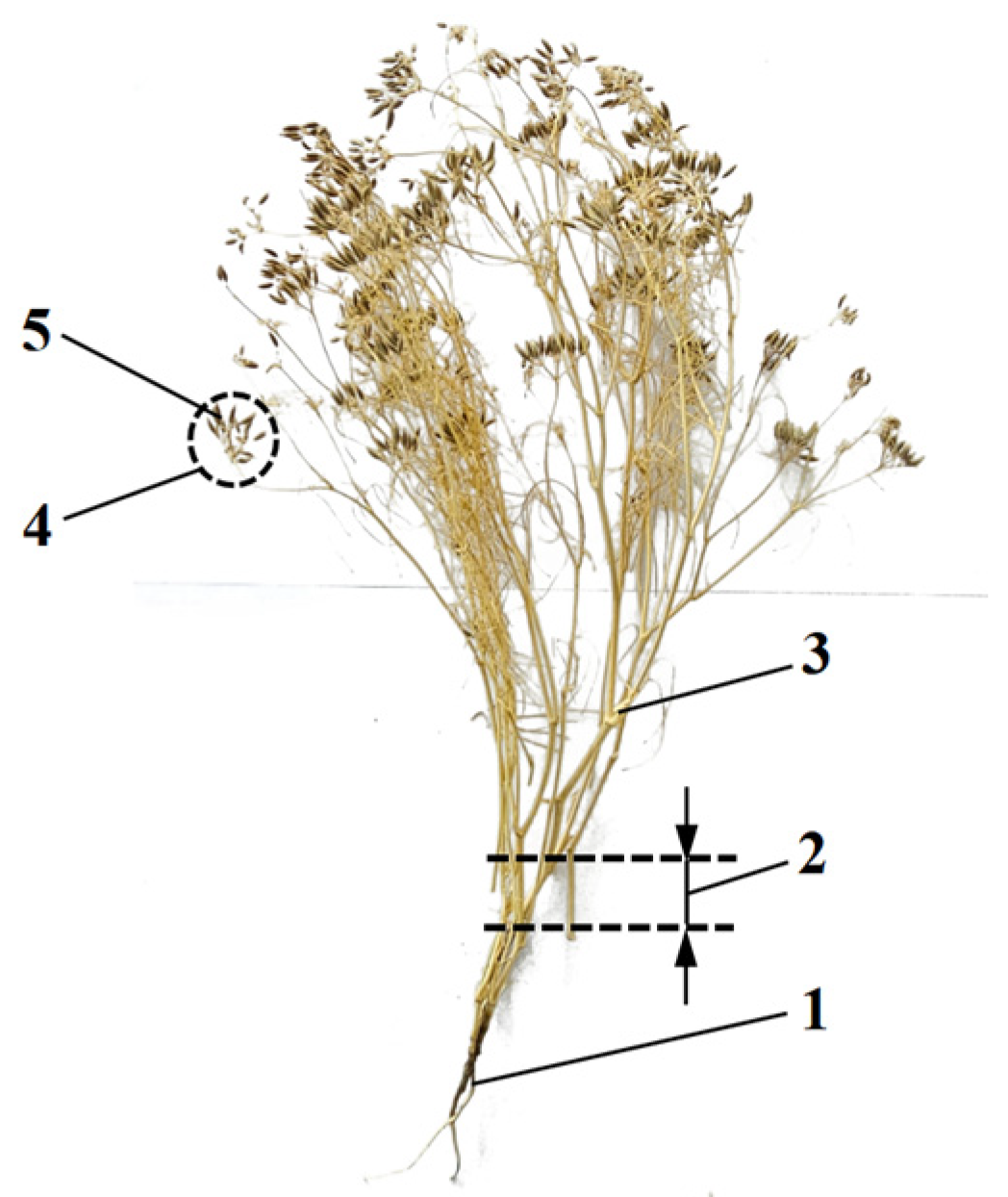 Agriengineering 07 00423 g002