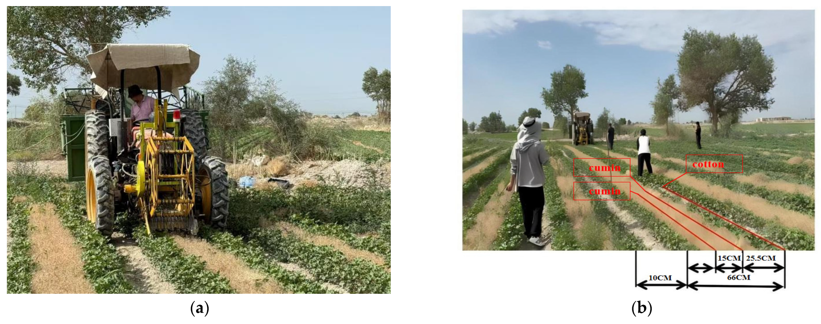 Agriengineering 07 00423 g013