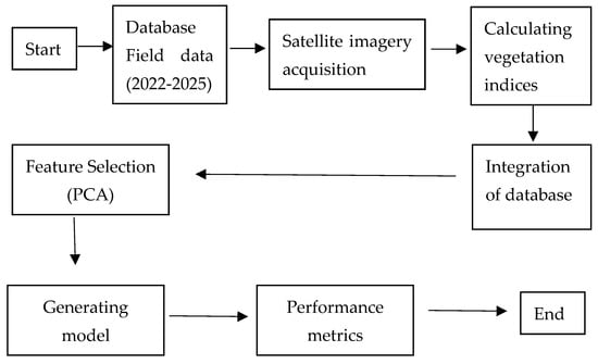 A flowchart of the study stages.