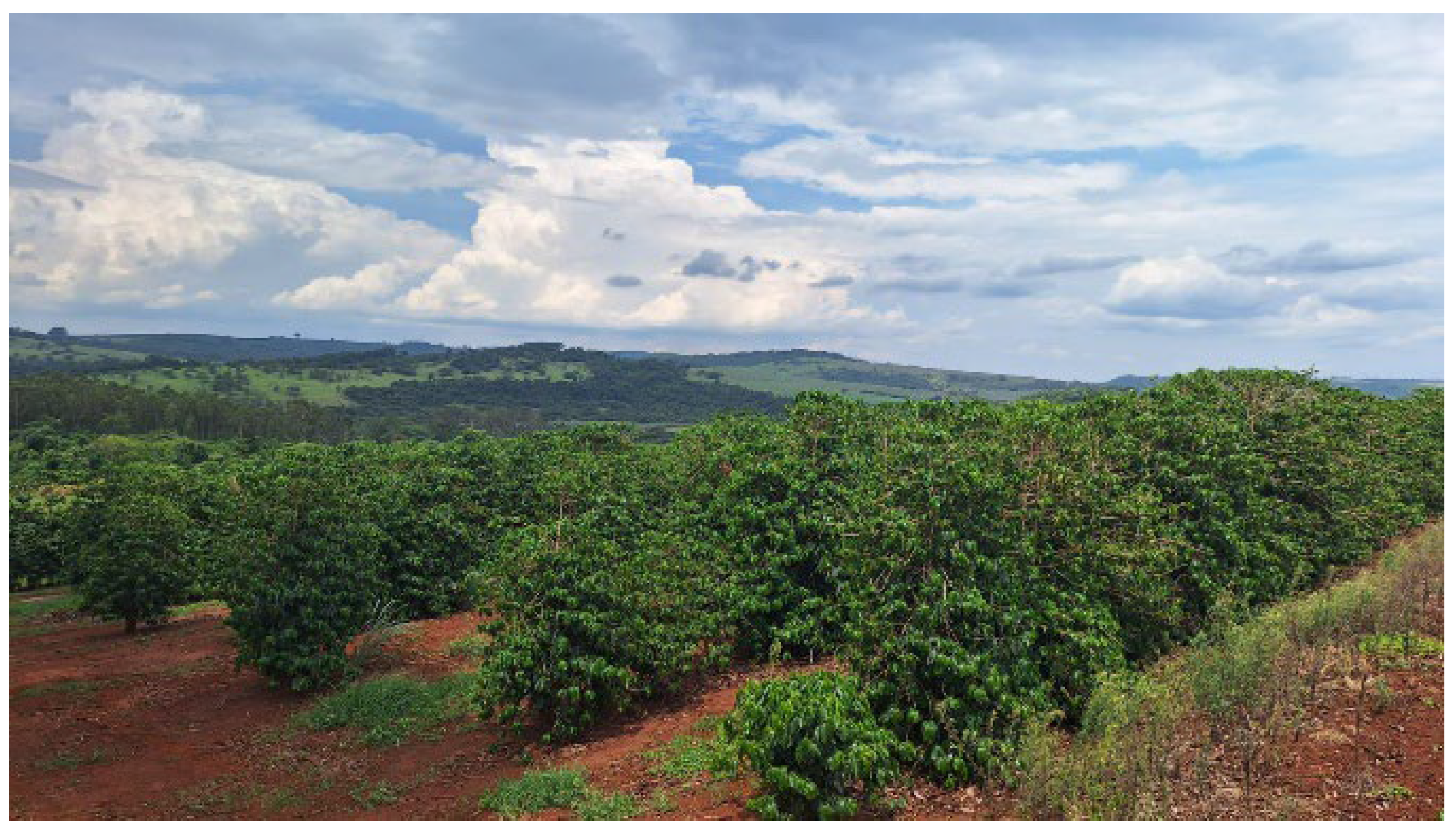 Agriengineering 07 00435 g002