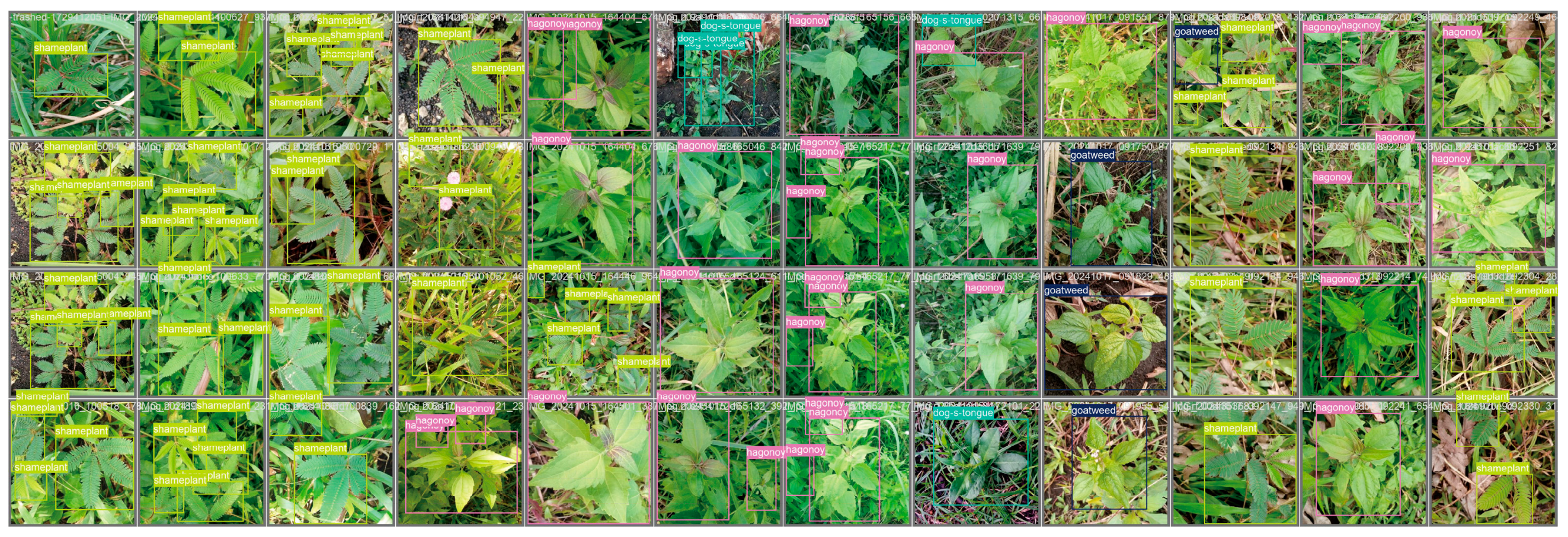 Agriengineering 08 00016 g006 Agriengineering 08 00016 g006