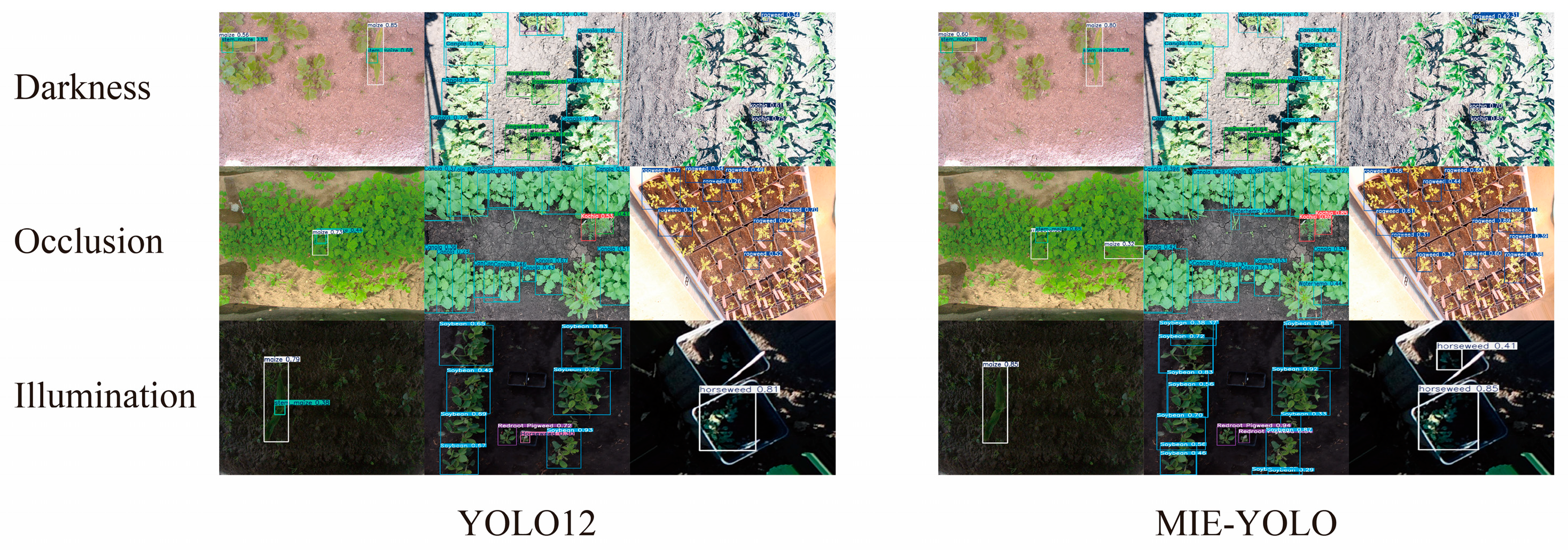 Agriengineering 08 00016 g010 Agriengineering 08 00016 g010