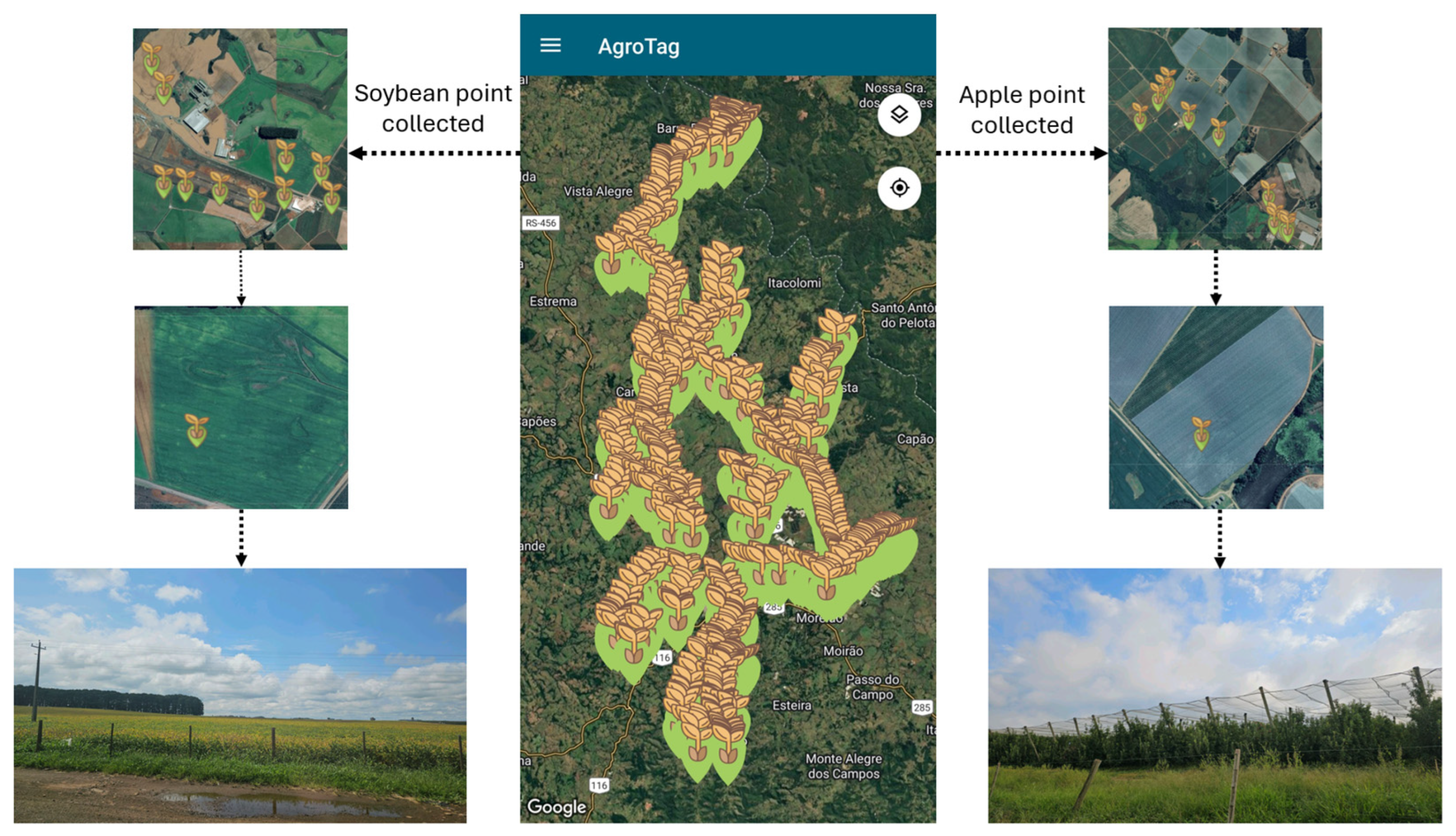 Agriengineering 08 00048 g011