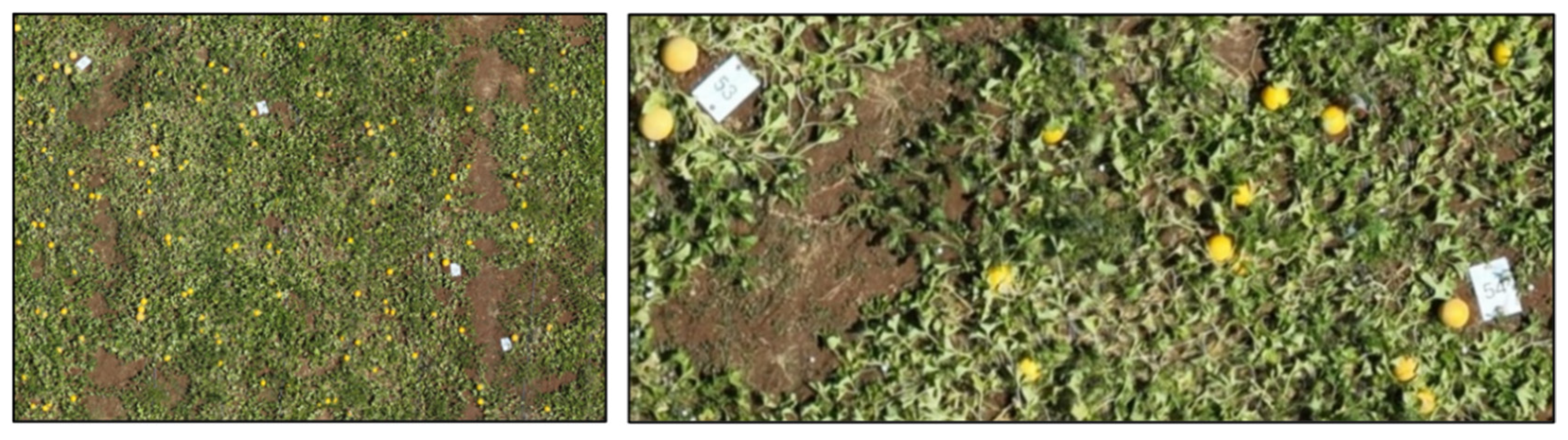 Agriengineering 08 00053 g003