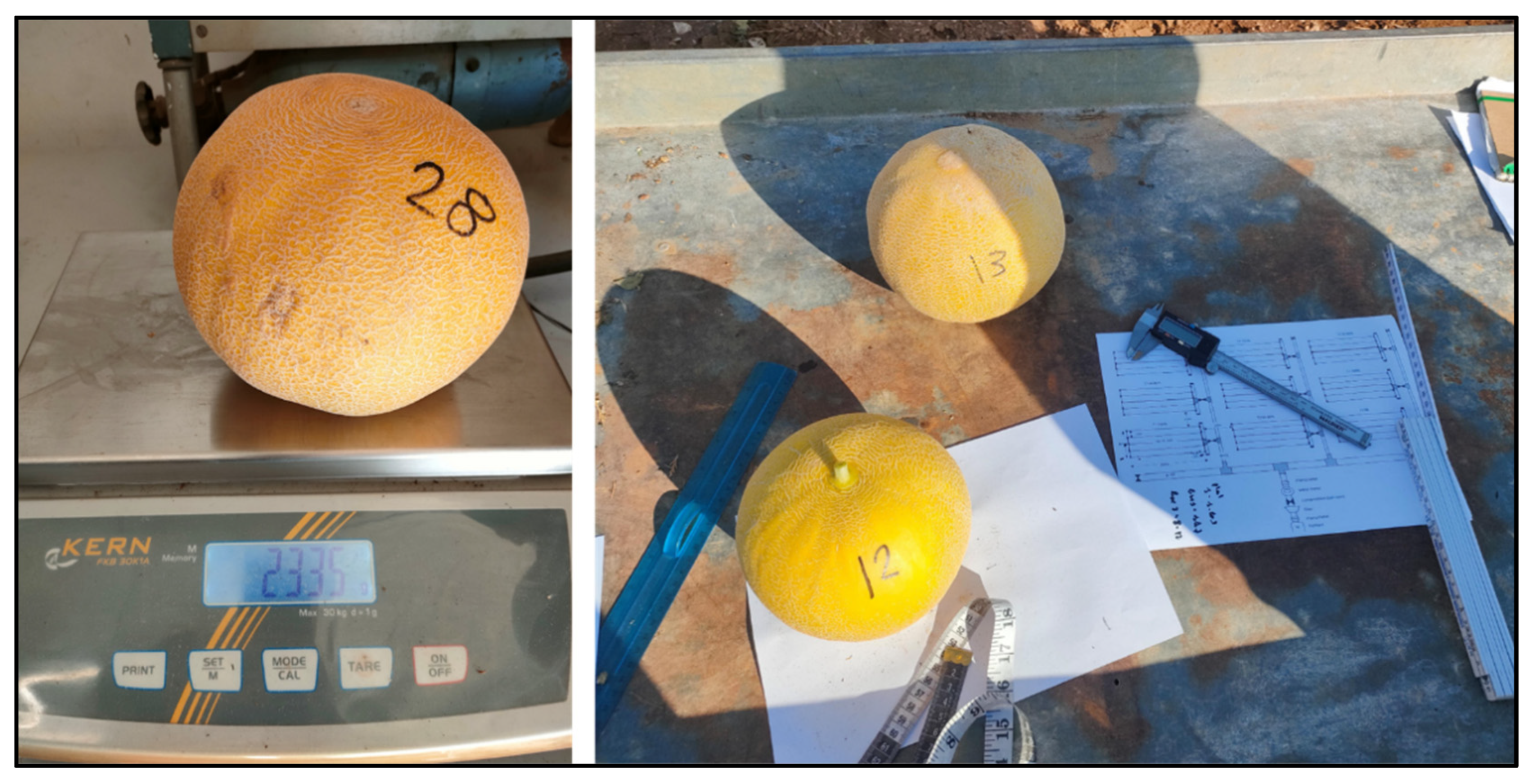 Agriengineering 08 00053 g006