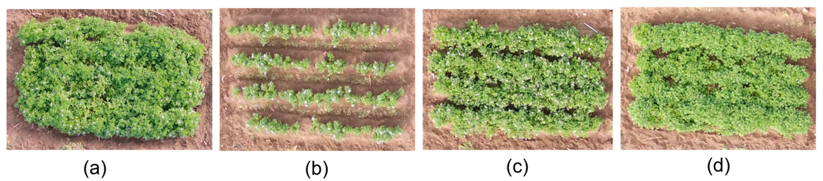 Agriengineering 08 00065 g005
