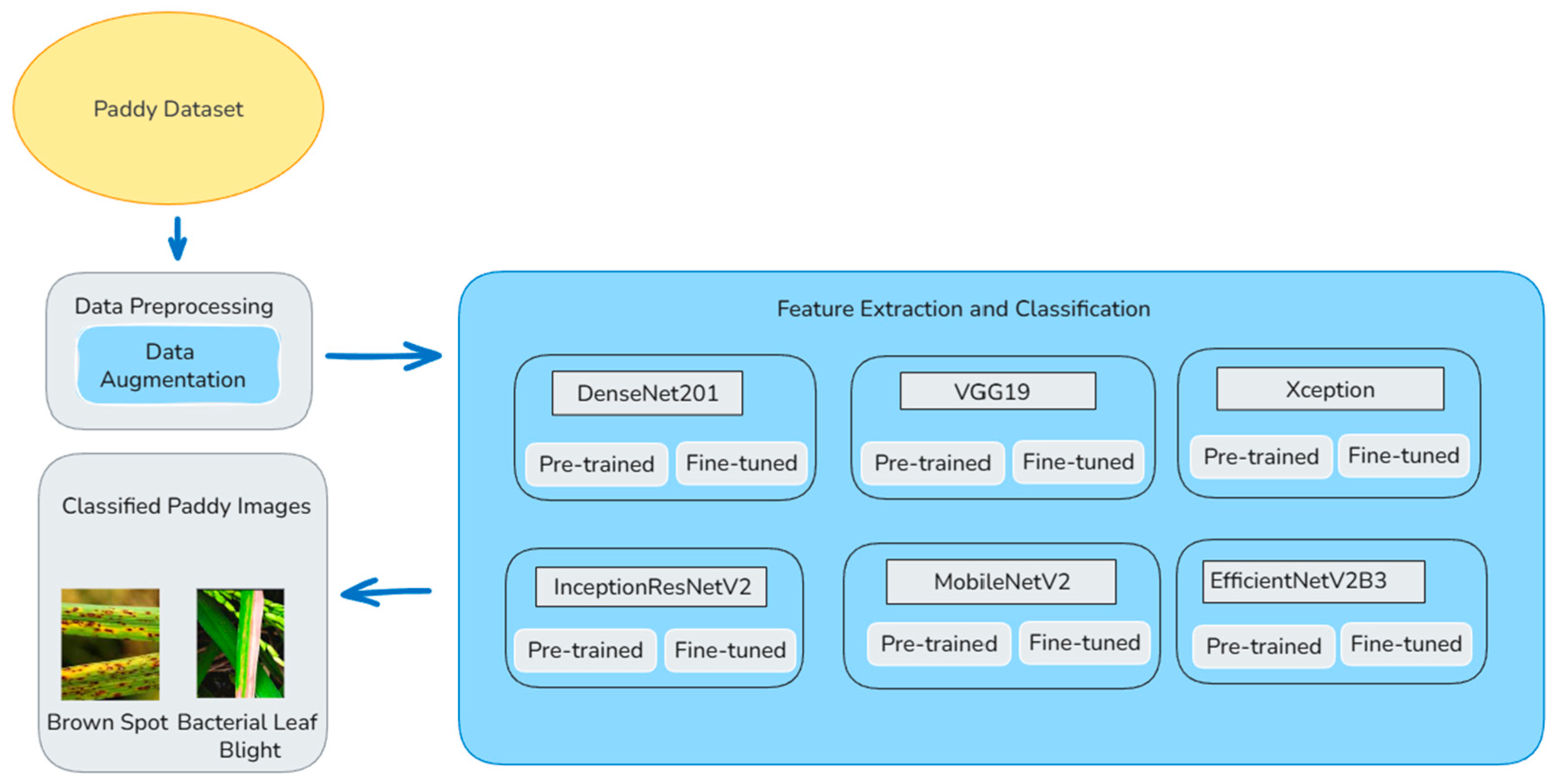 Agriengineering 08 00080 g001 Agriengineering 08 00080 g001