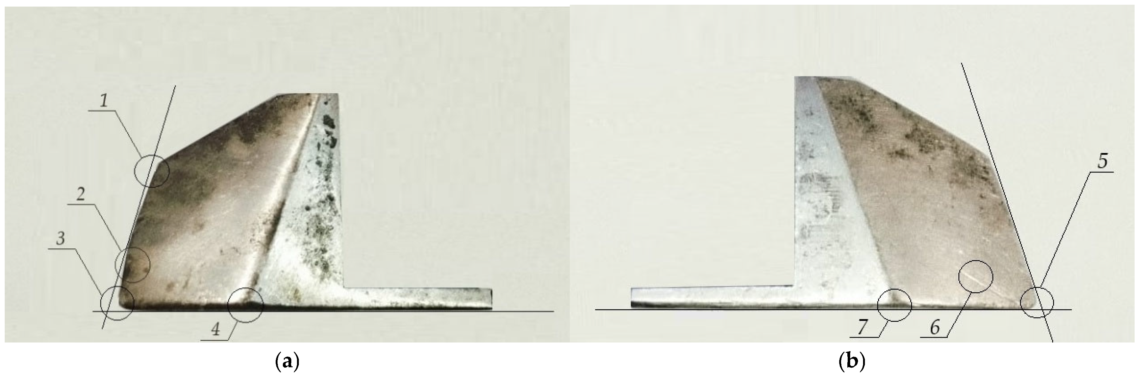 Agriengineering 08 00081 g010