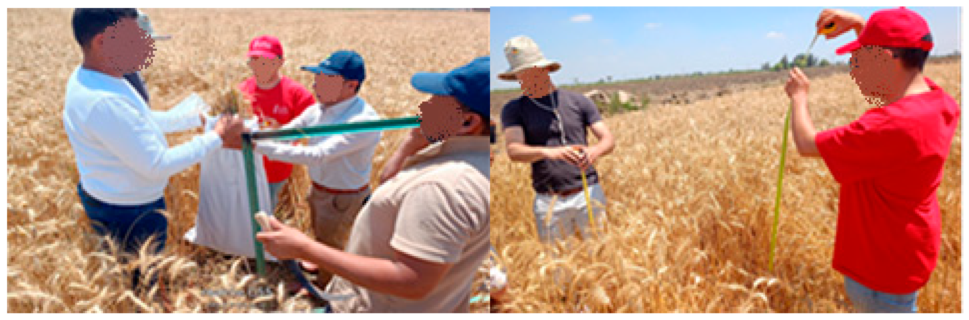 Agriengineering 08 00087 g003 Agriengineering 08 00087 g003