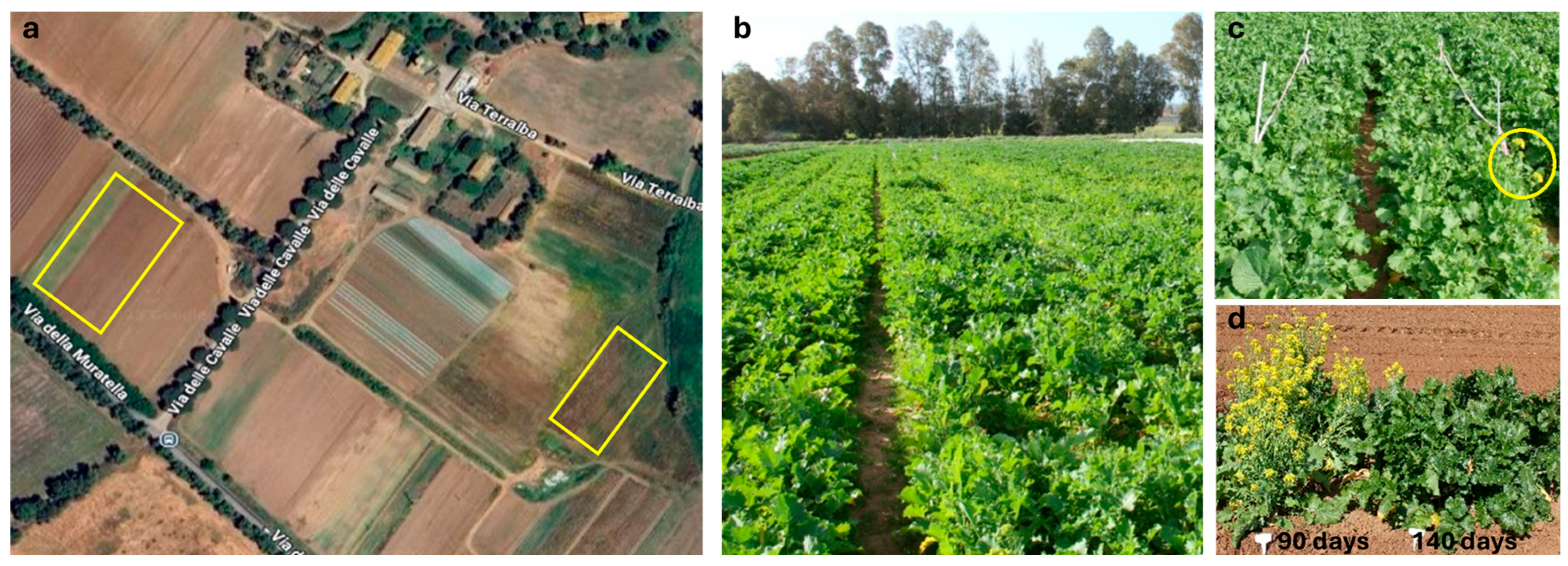 Agriengineering 08 00090 g001 Agriengineering 08 00090 g001