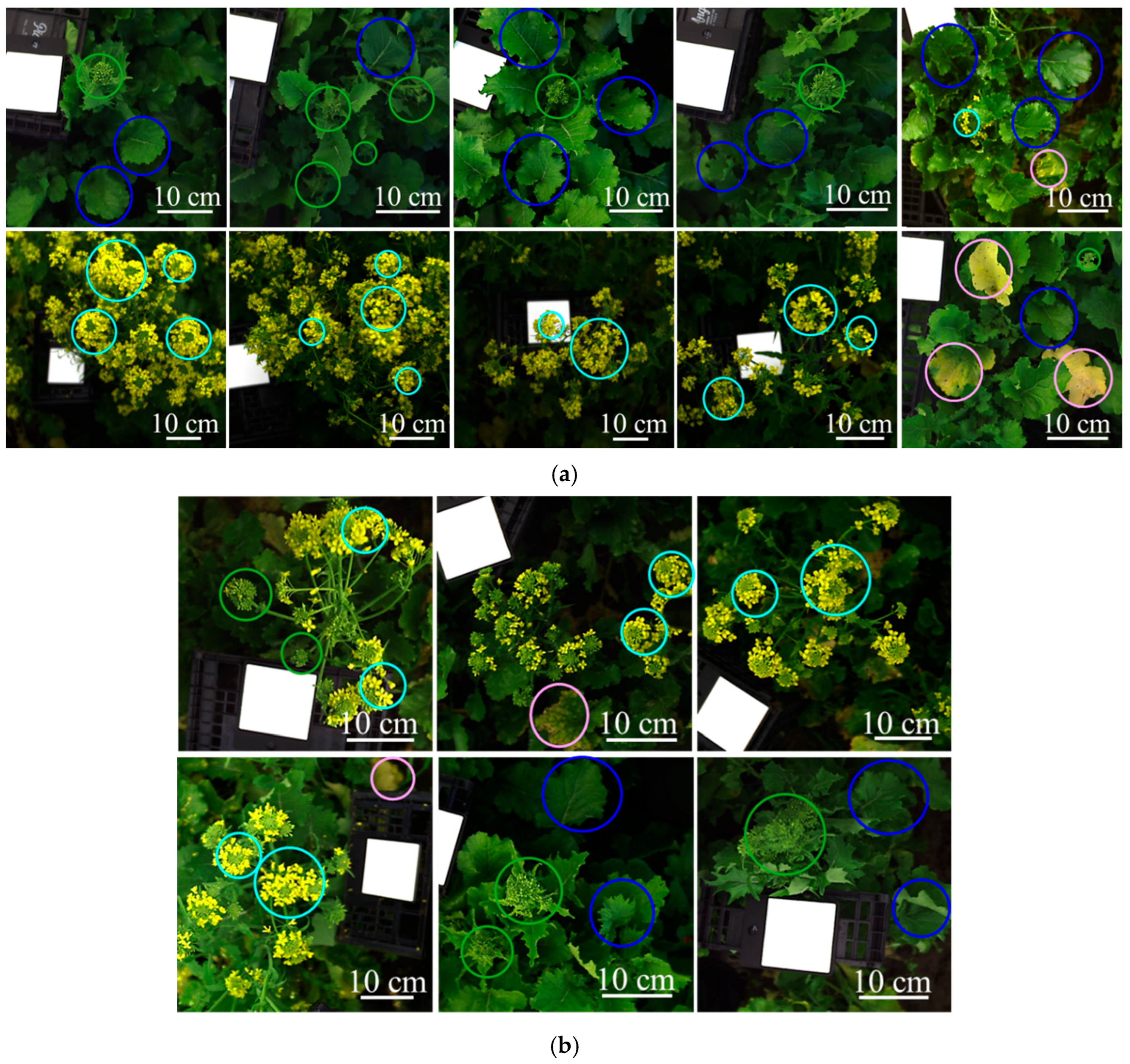 Agriengineering 08 00090 g003 Agriengineering 08 00090 g003