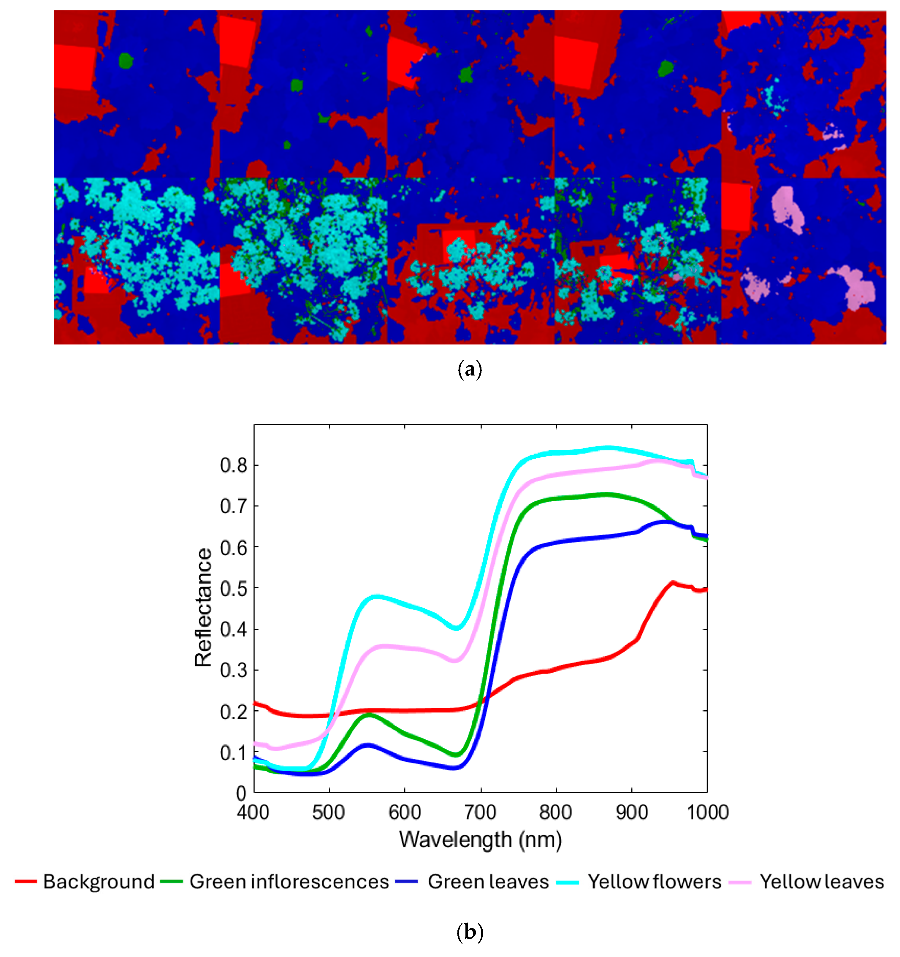 Agriengineering 08 00090 g004a Agriengineering 08 00090 g004a